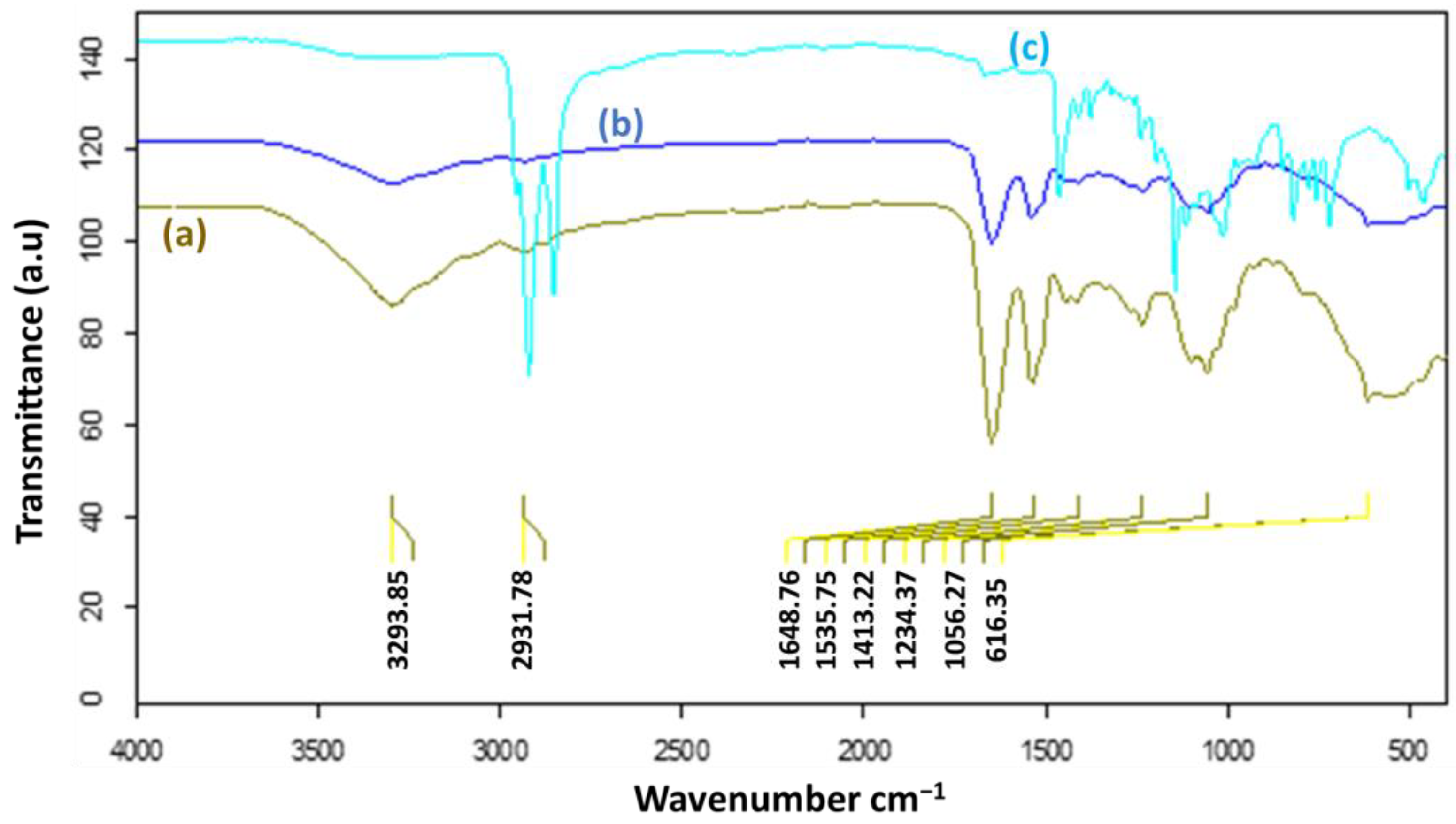 Photochem 04 00003 g008