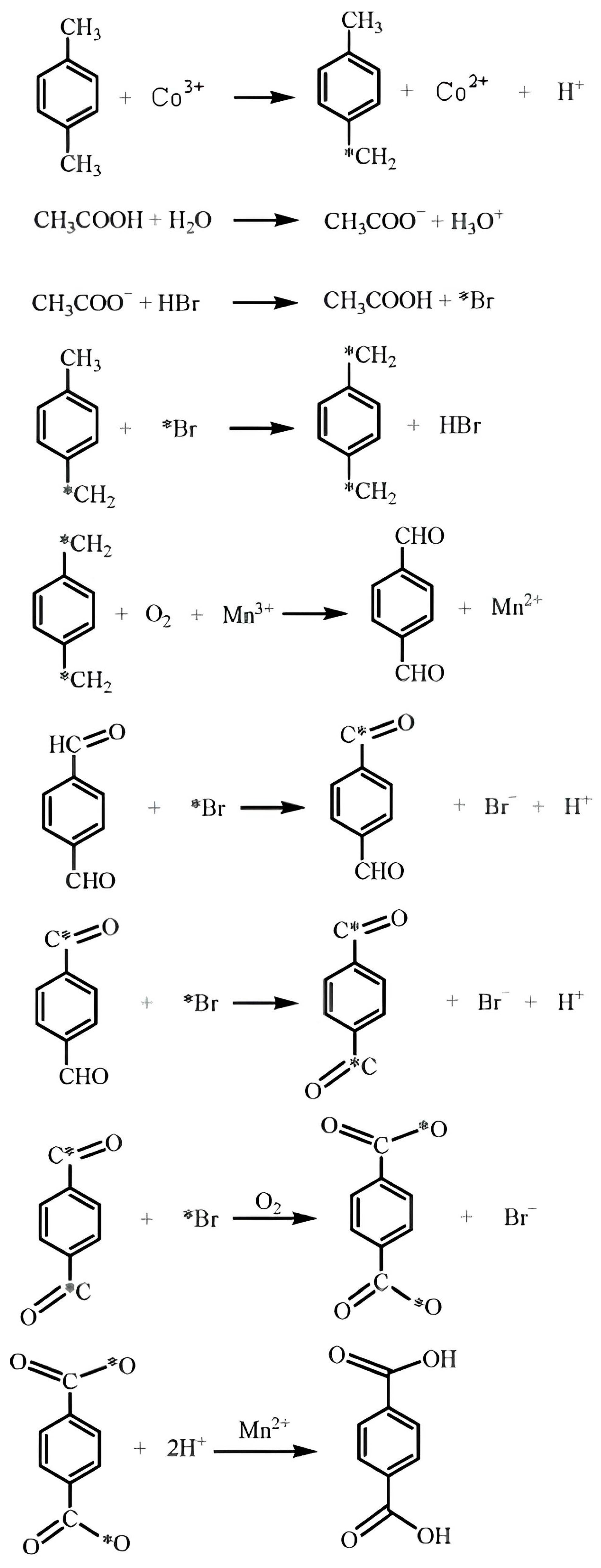 Photochem 05 00011 g004