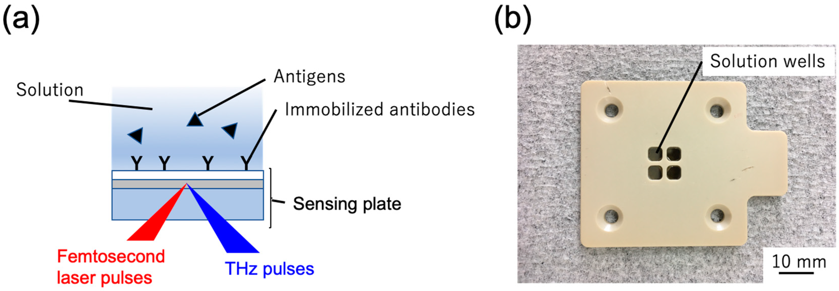 Photonics 06 00010 g008
