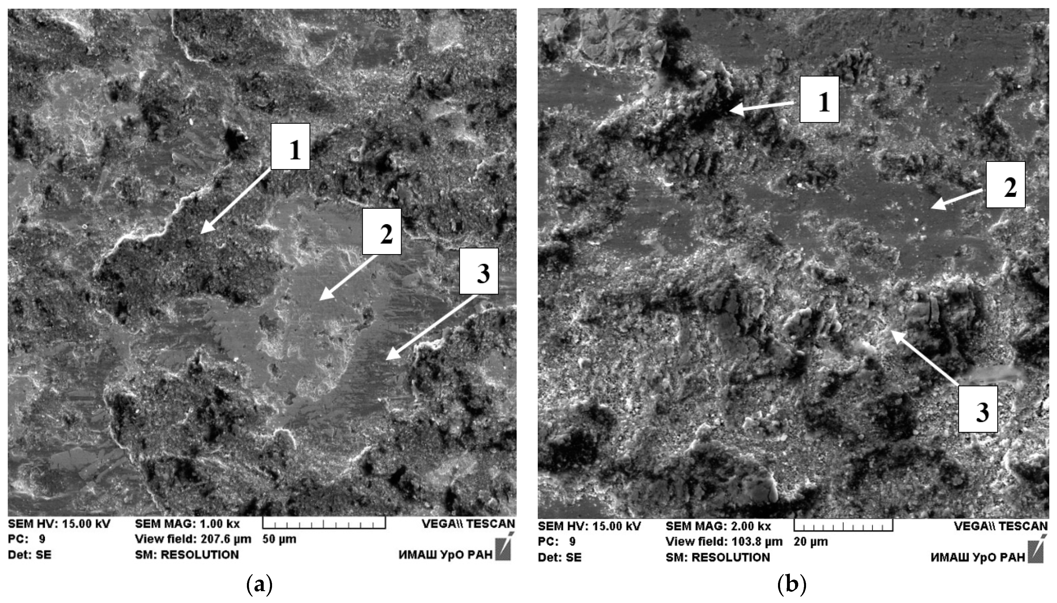Photonics 06 00127 g007 Photonics 06 00127 g007