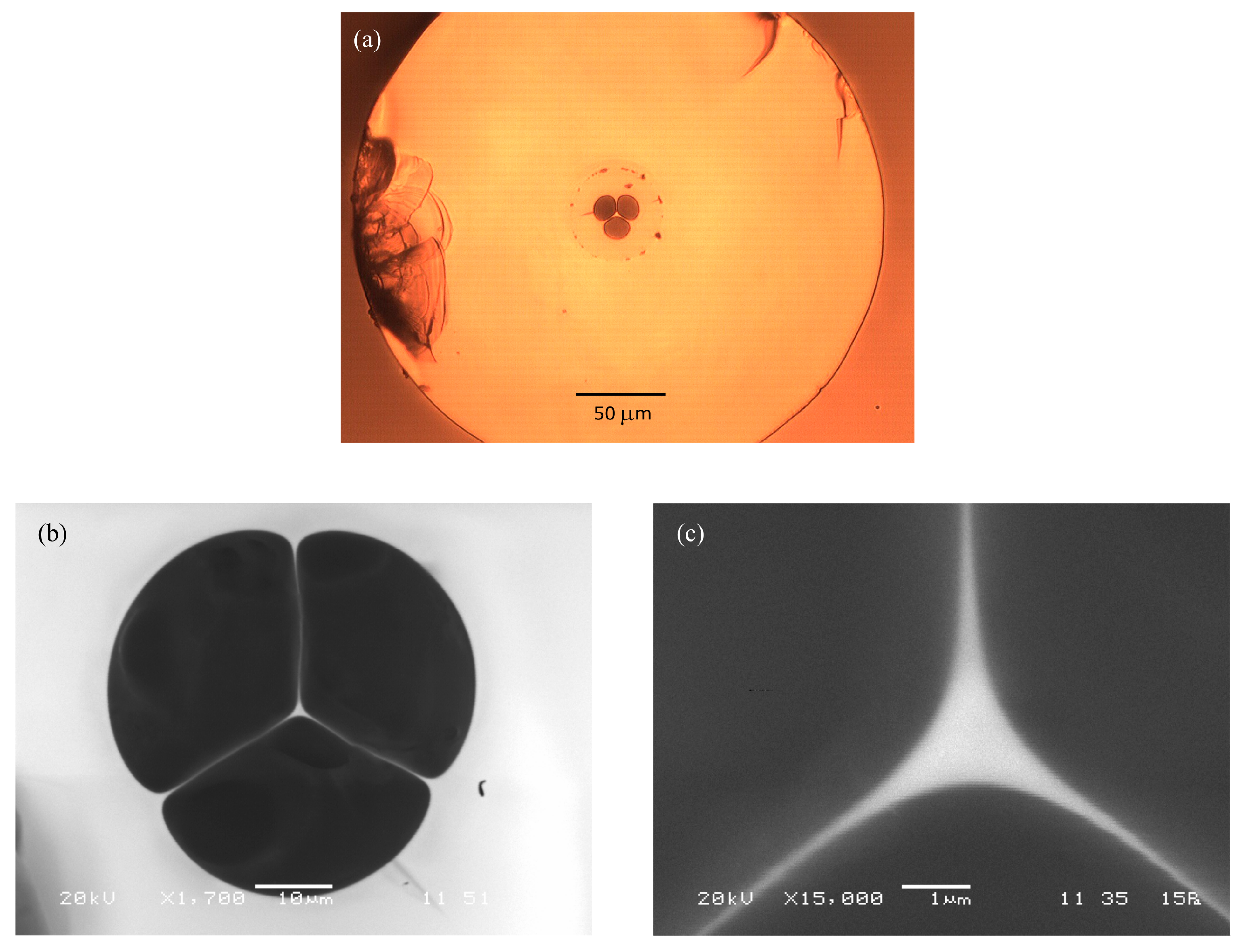 Photonics 07 00051 g004