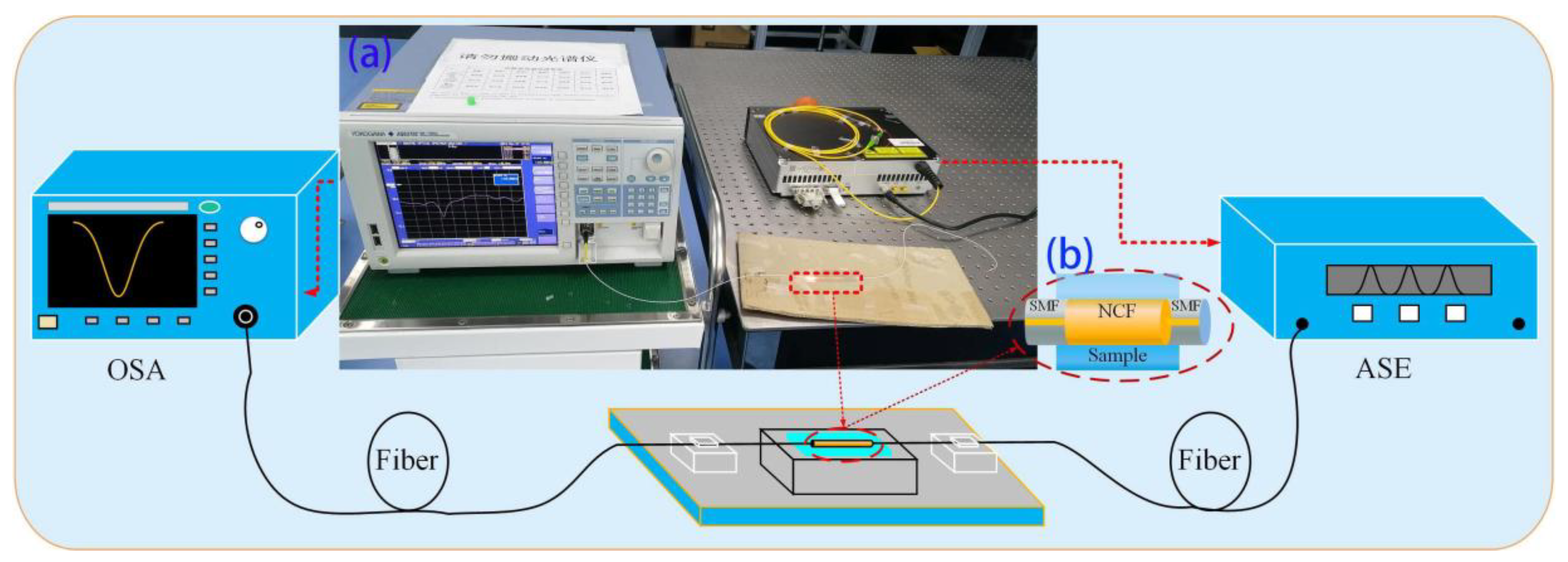 Photonics 07 00101 g005 Photonics 07 00101 g005
