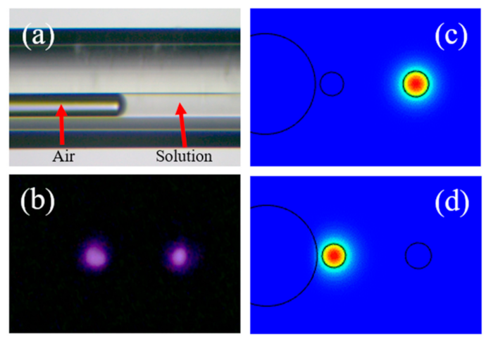 Photonics 08 00103 g002