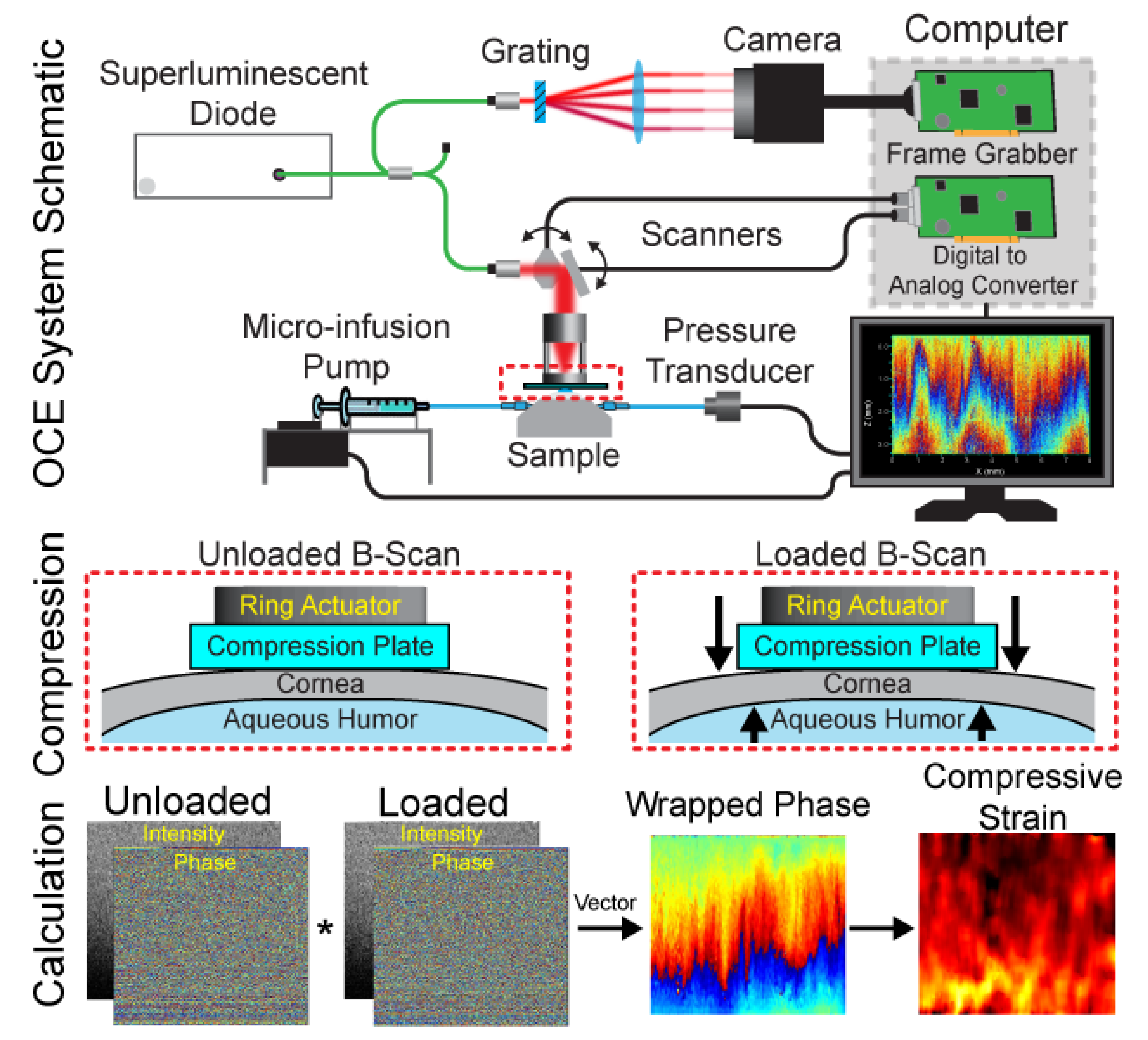 Photonics 08 00111 g001