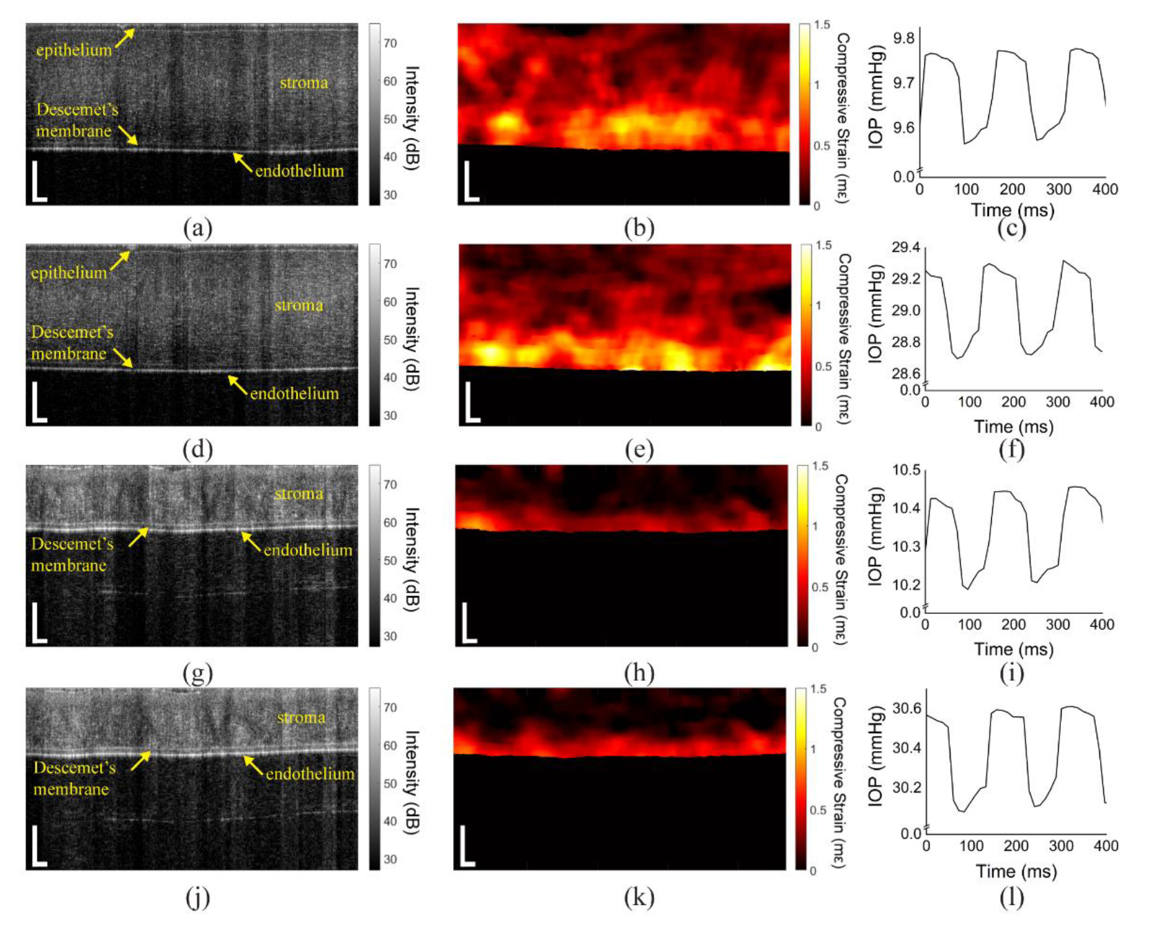 Photonics 08 00111 g002