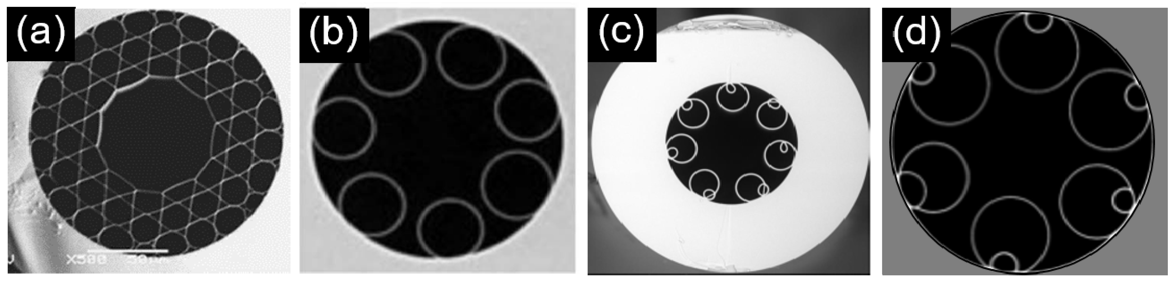 Photonics 08 00128 g003