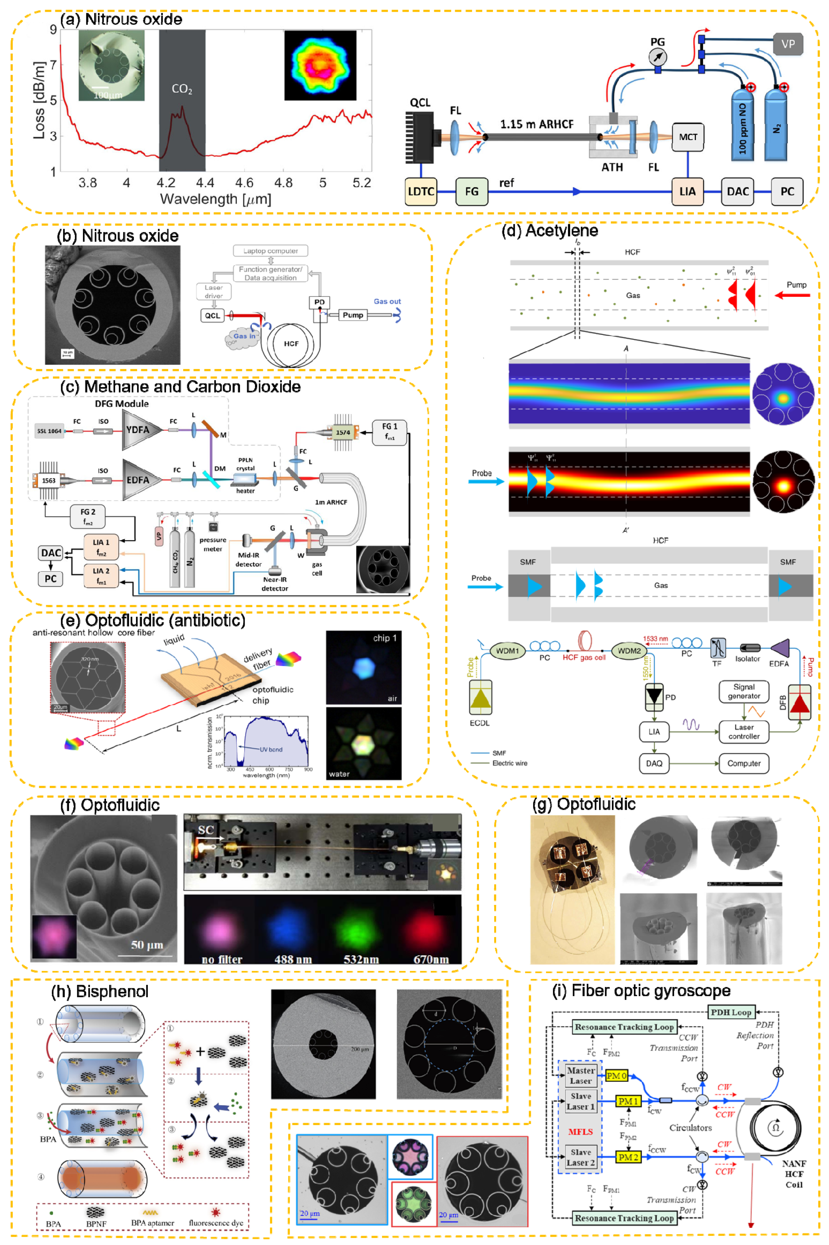 Photonics 08 00128 g005