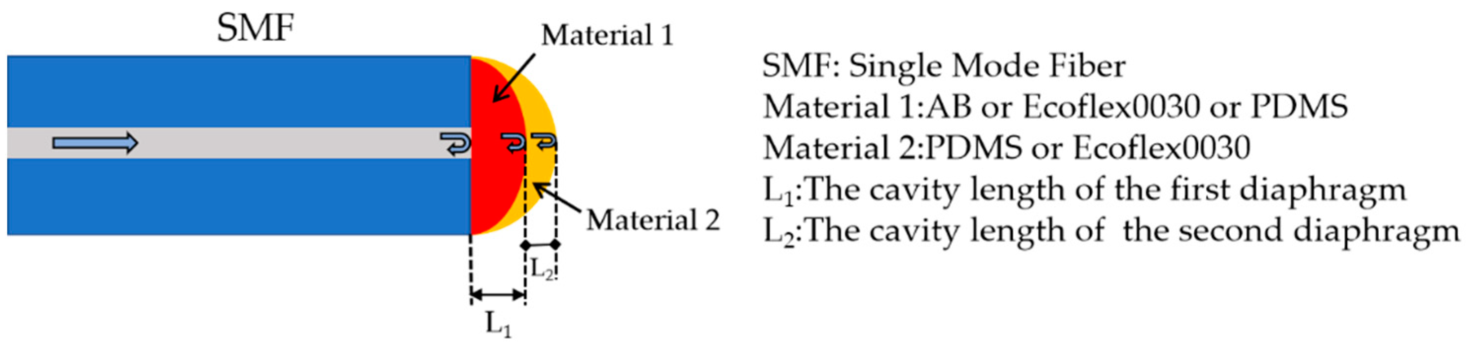 Photonics 08 00138 g001