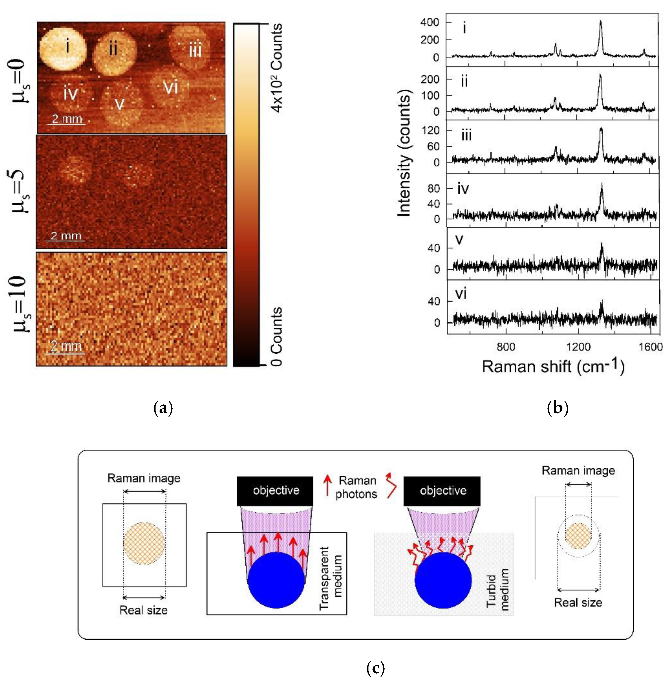 Photonics 08 00144 g004 Photonics 08 00144 g004