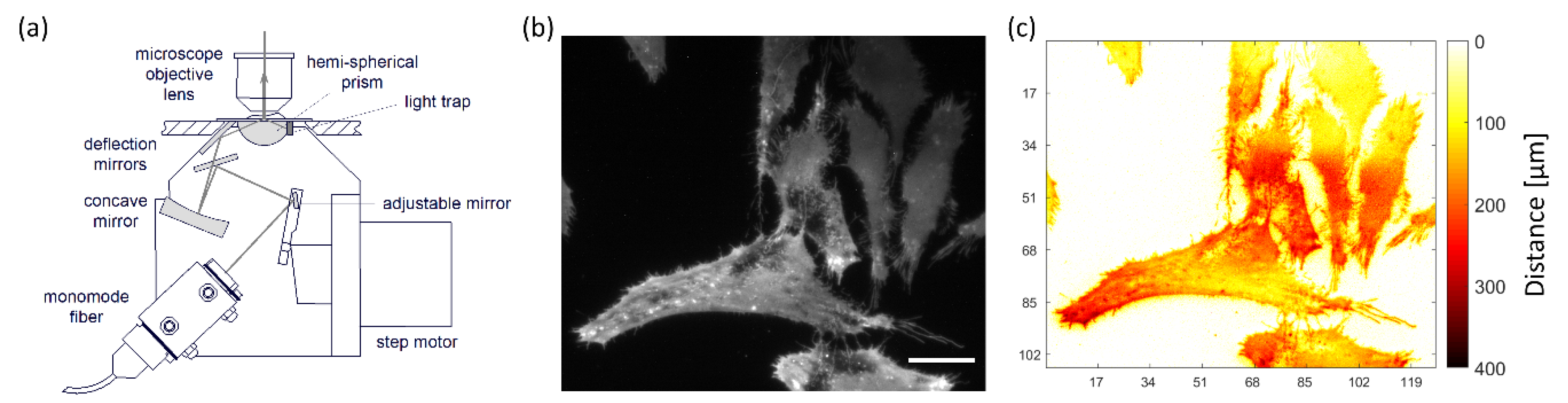 Photonics 08 00176 g002 Photonics 08 00176 g002