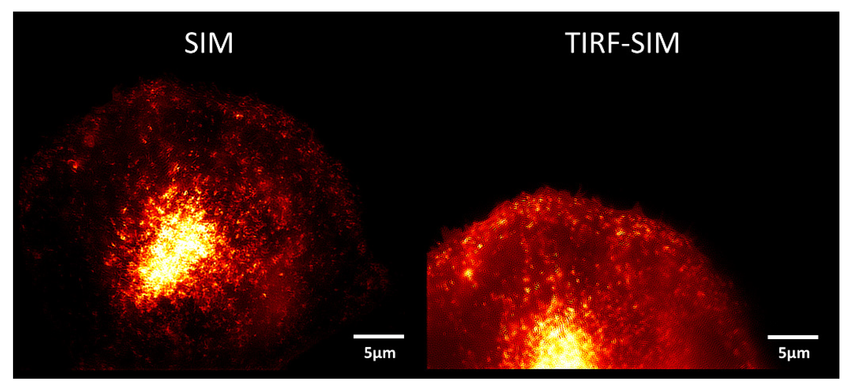 Photonics 08 00176 g003 Photonics 08 00176 g003