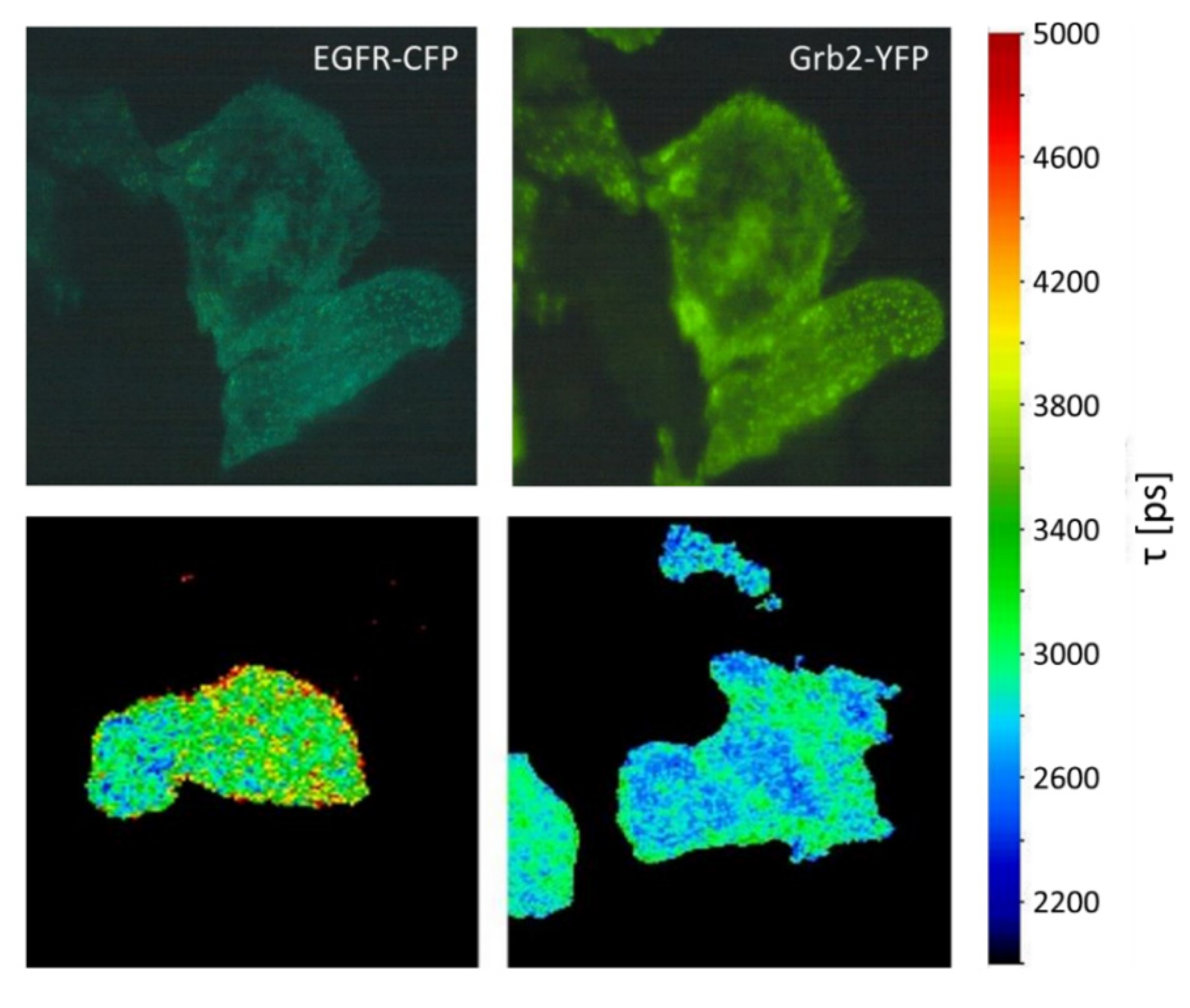 Photonics 08 00176 g006 Photonics 08 00176 g006