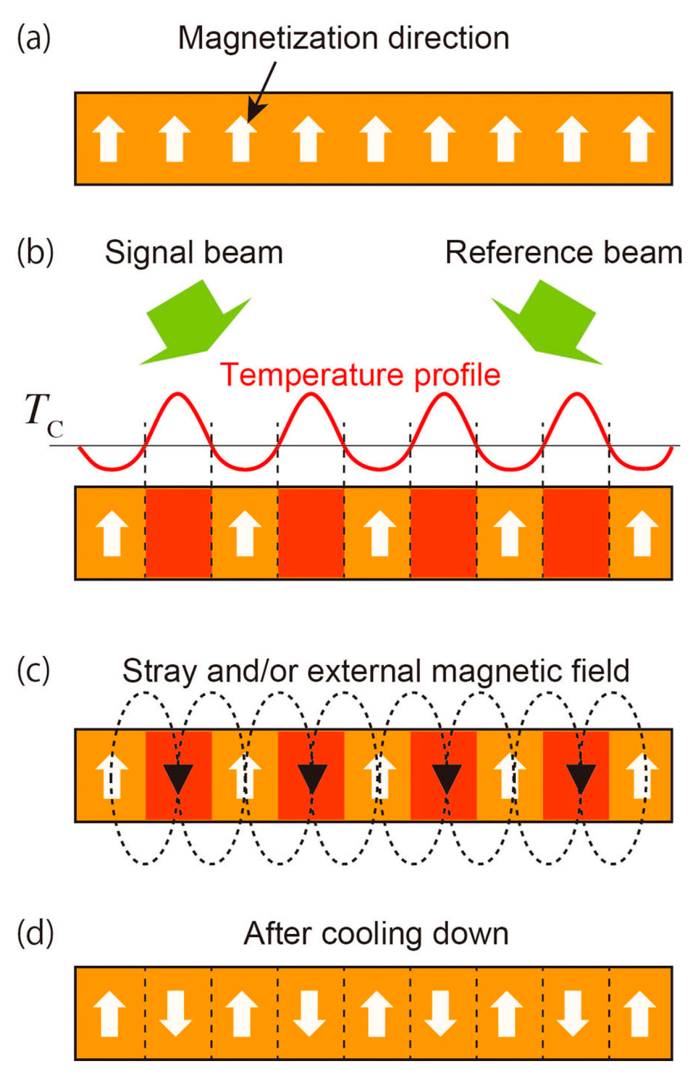 Photonics 08 00187 g002 Photonics 08 00187 g002