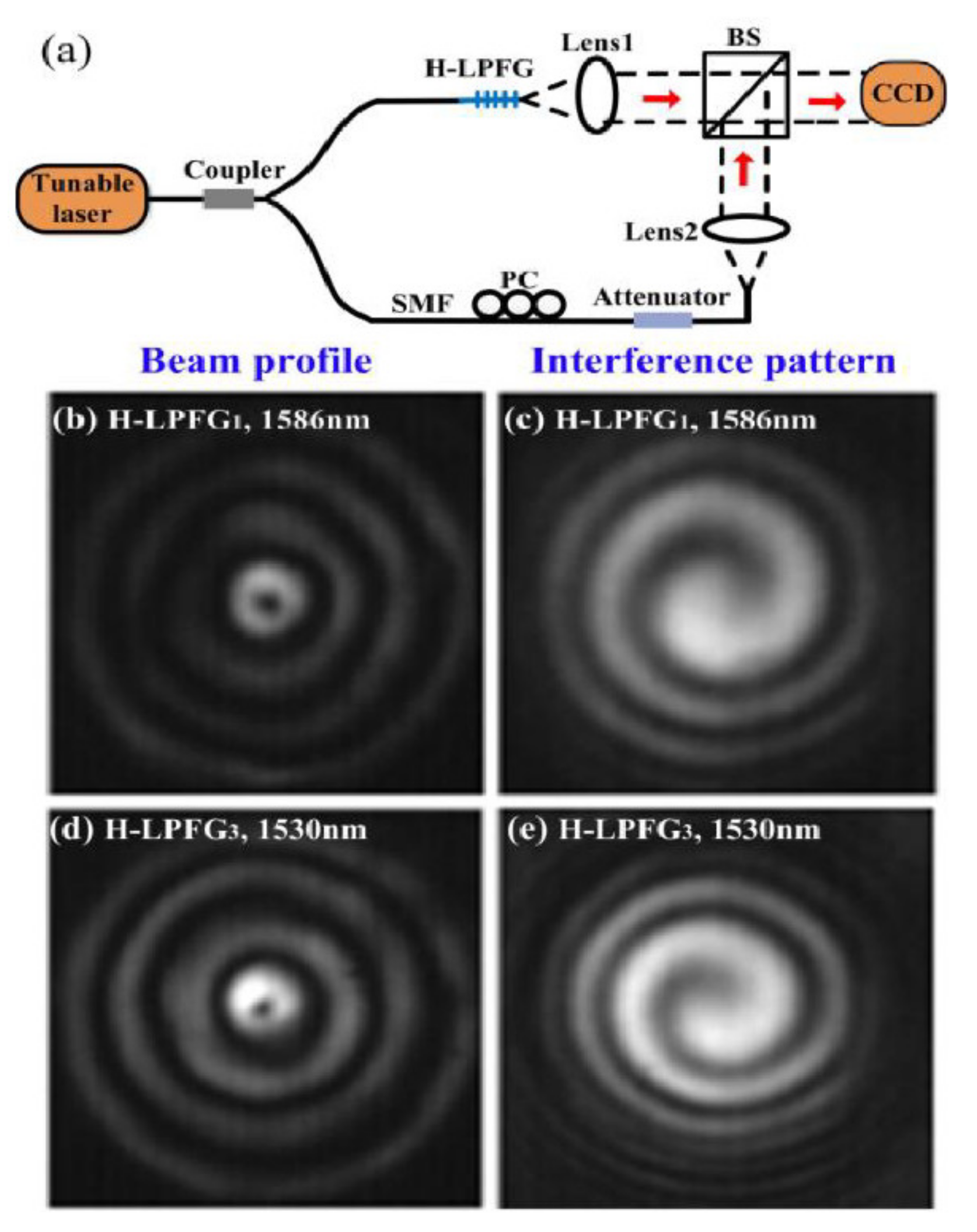Photonics 08 00193 g010 Photonics 08 00193 g010