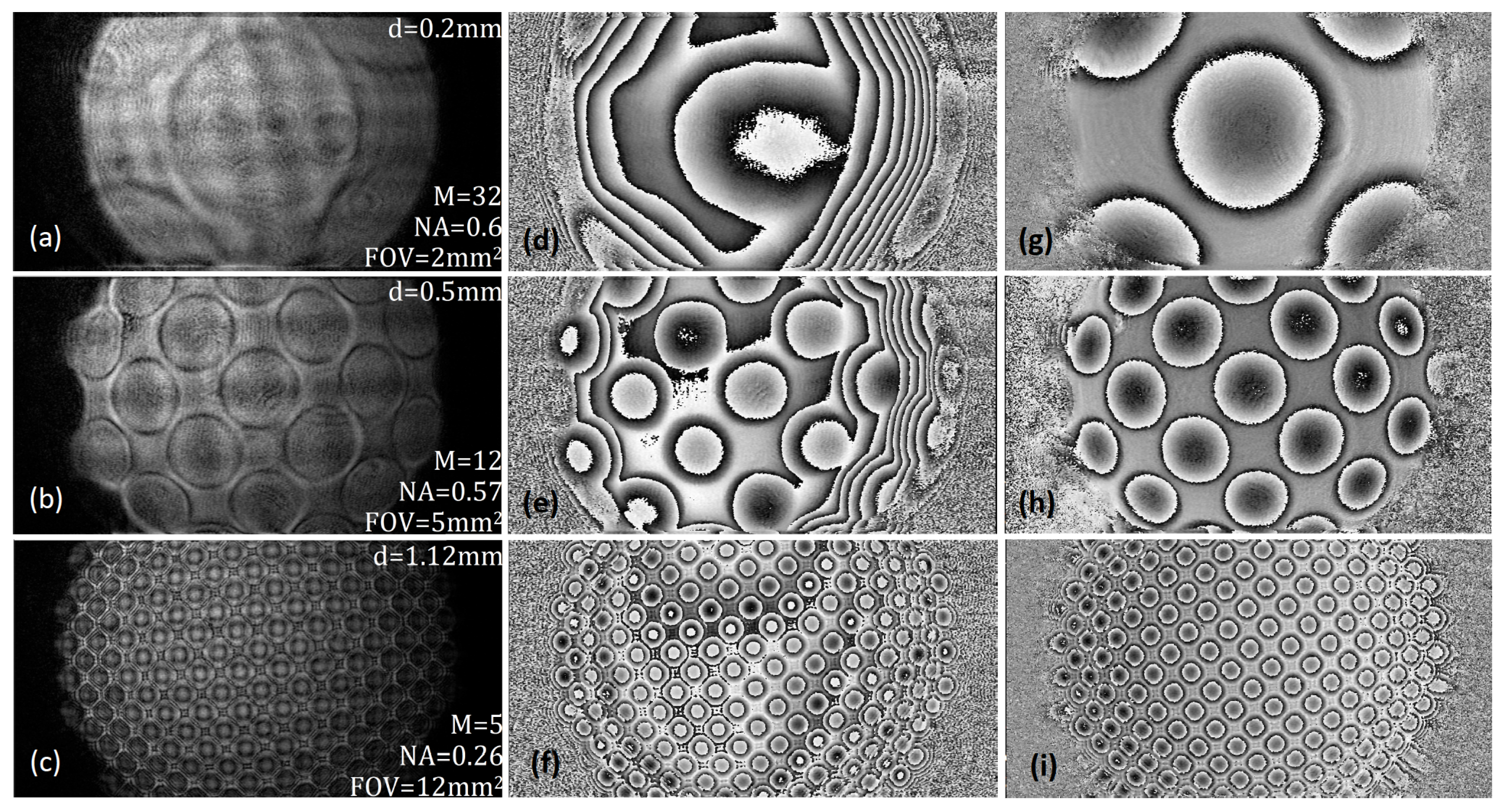 Photonics 08 00264 g005