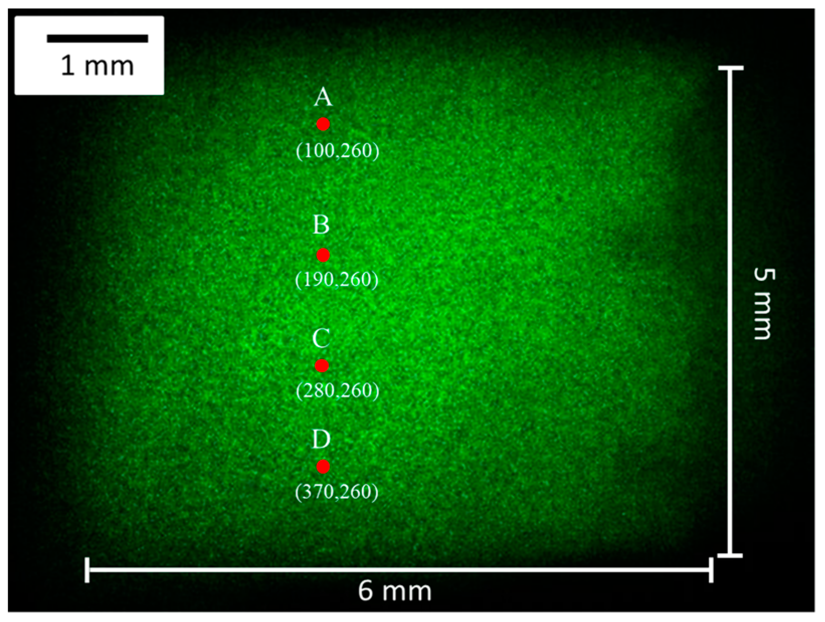 Photonics 08 00271 g009 Photonics 08 00271 g009