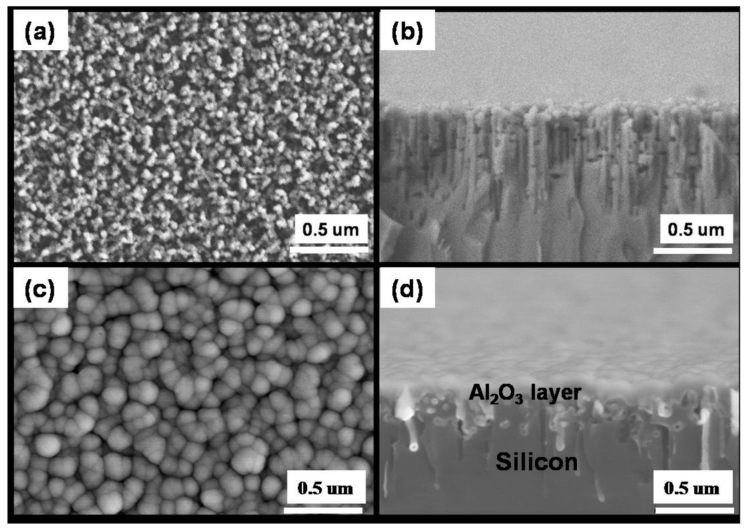 Photonics 08 00272 g002 Photonics 08 00272 g002