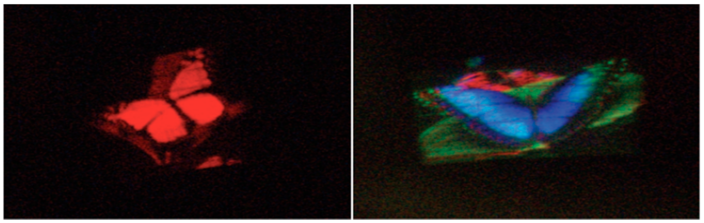 Photonics 08 00292 g001