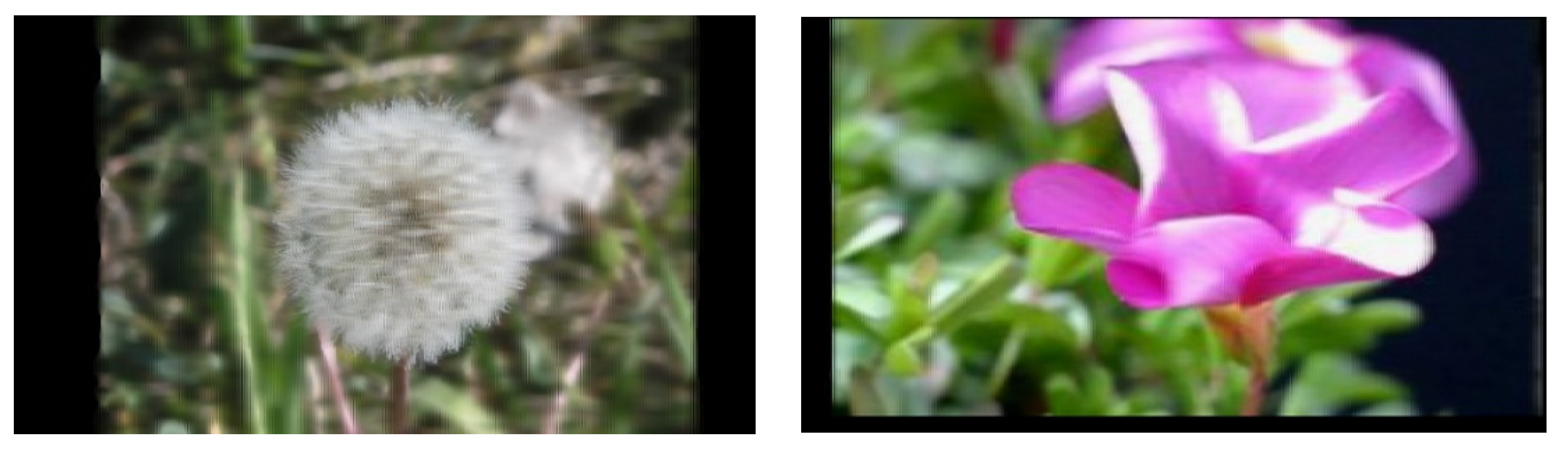 Photonics 08 00331 g012 Photonics 08 00331 g012