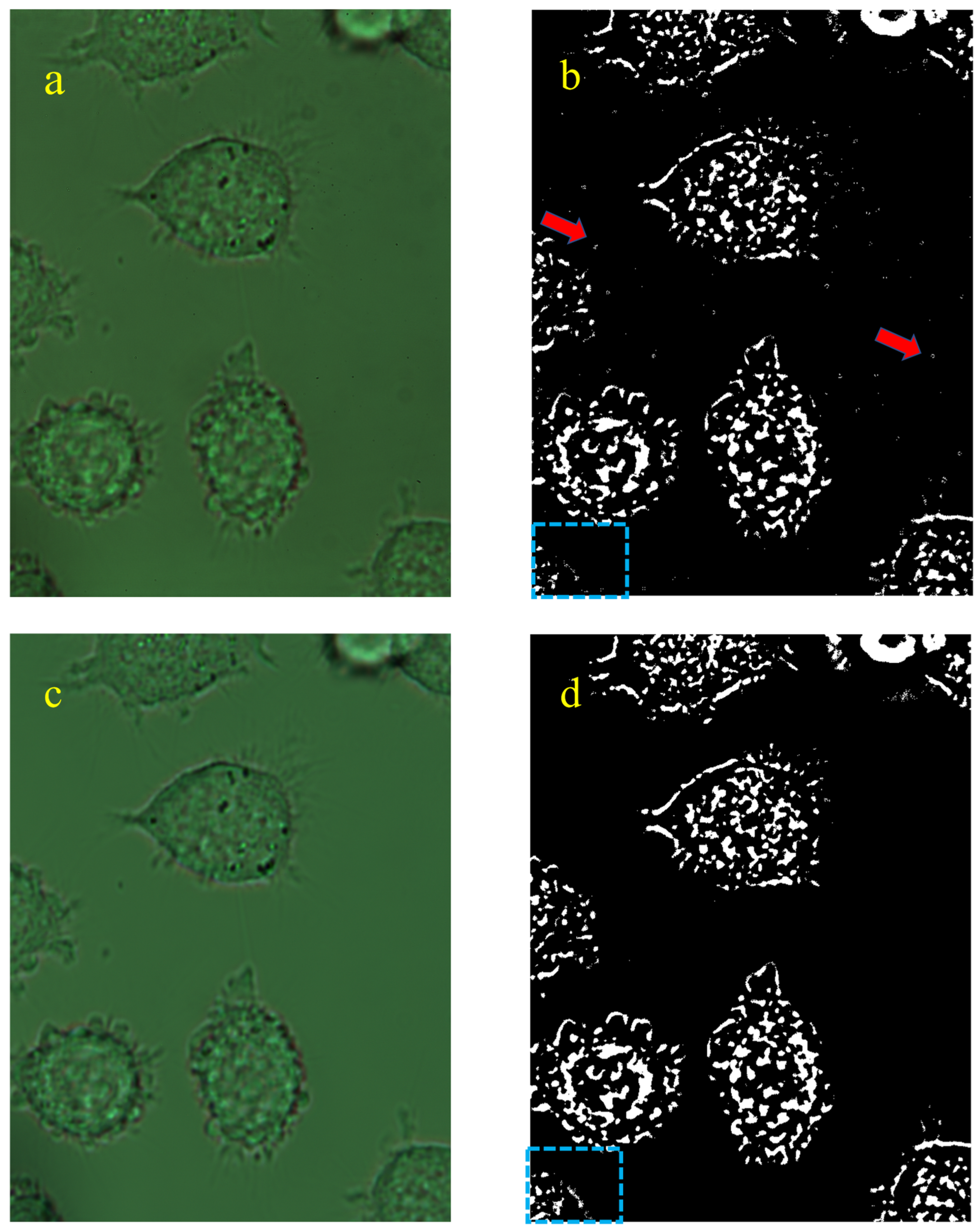 Photonics 08 00333 g010