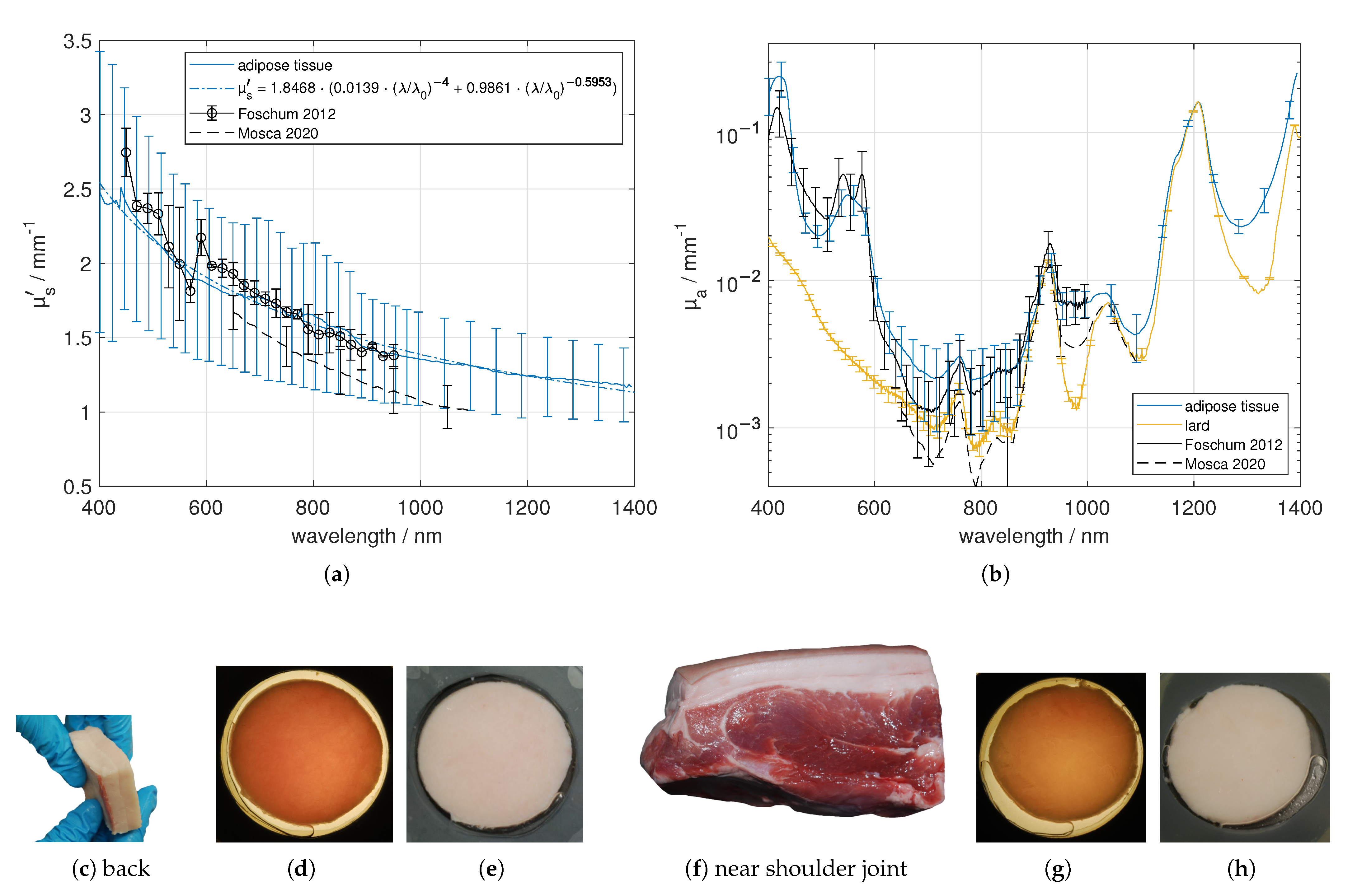 Photonics 08 00365 g005
