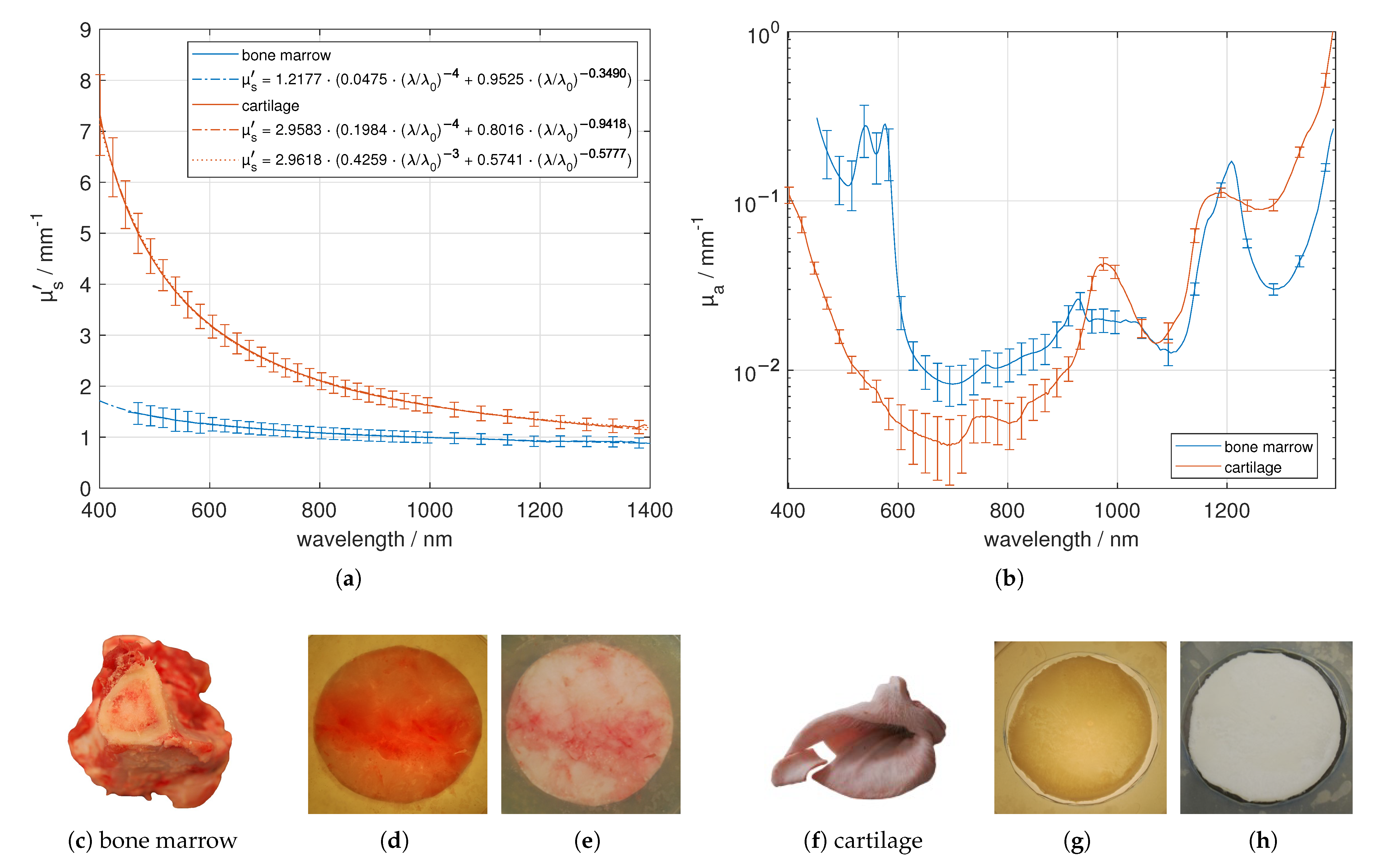 Photonics 08 00365 g008