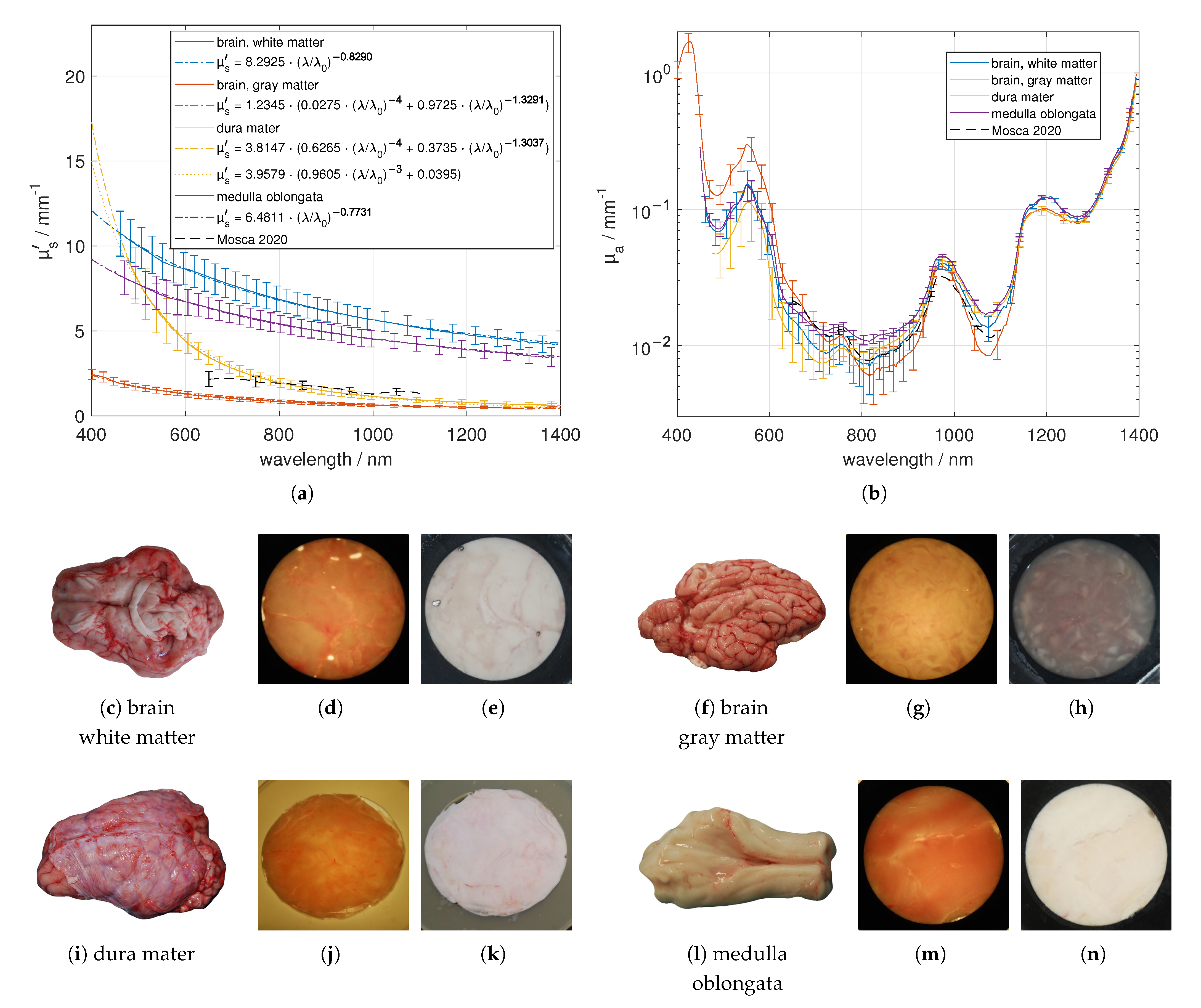 Photonics 08 00365 g009