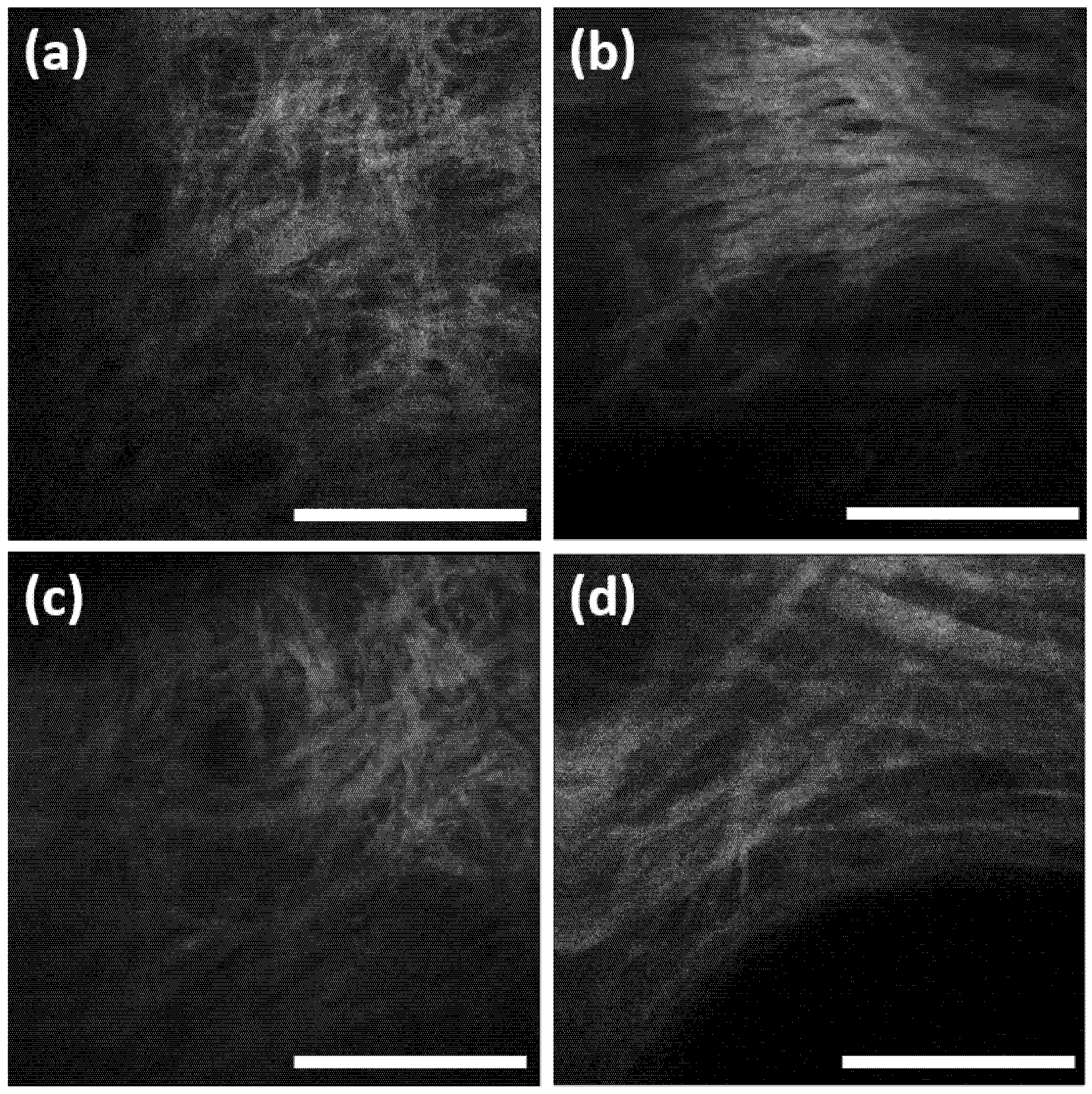 Photonics 08 00404 g003 Photonics 08 00404 g003