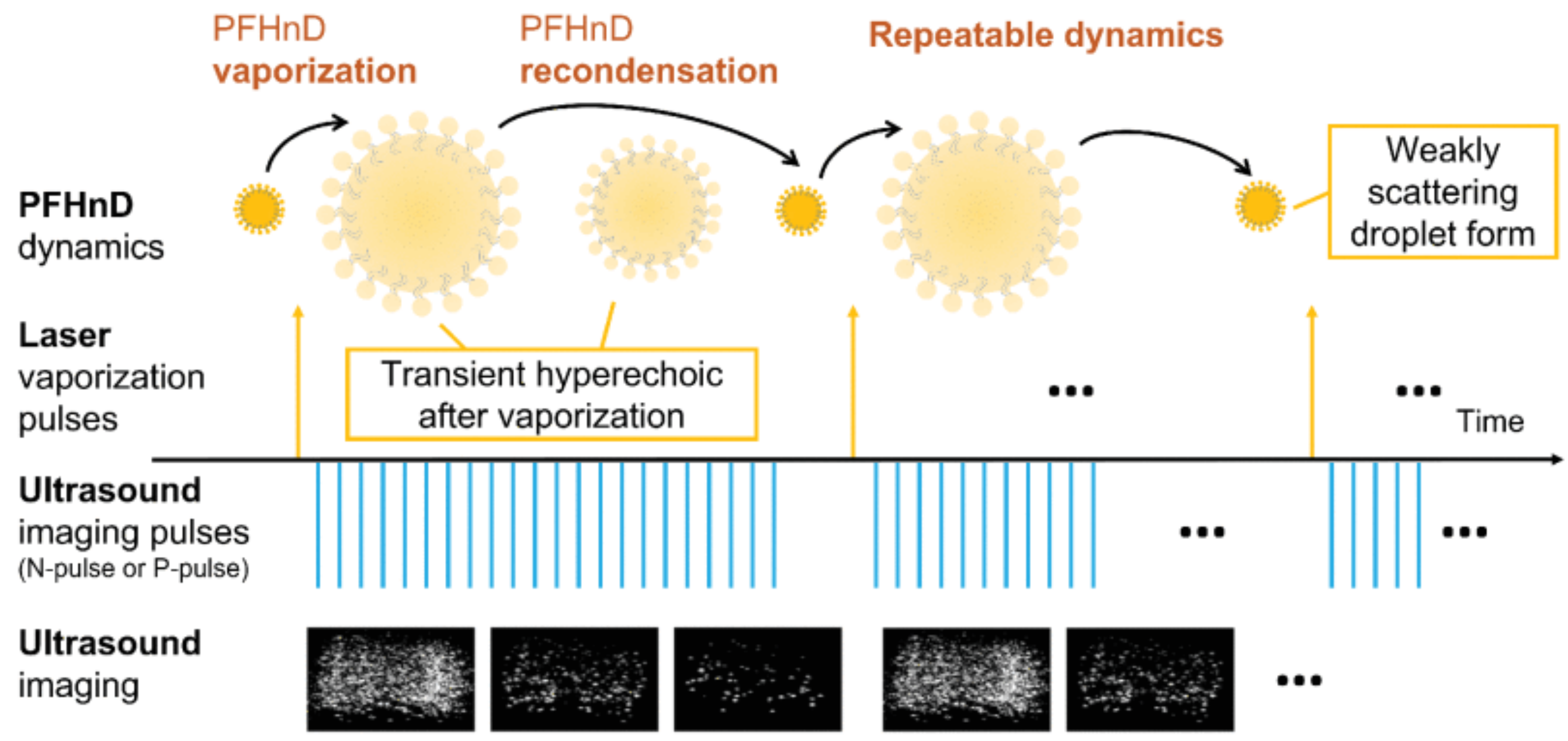 Photonics 08 00405 g002 Photonics 08 00405 g002