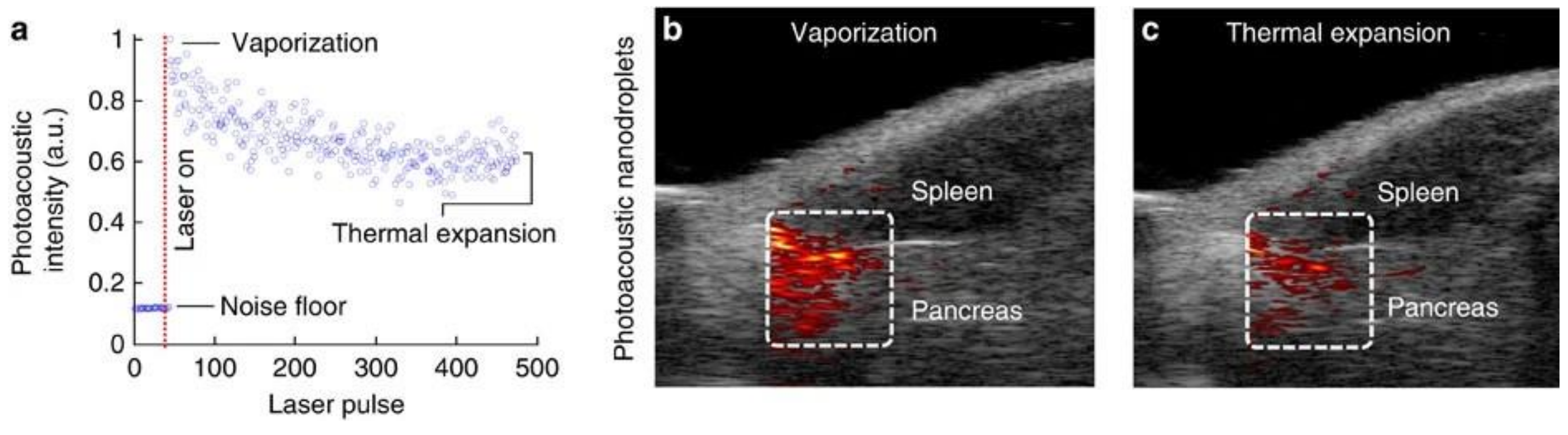 Photonics 08 00405 g003 Photonics 08 00405 g003