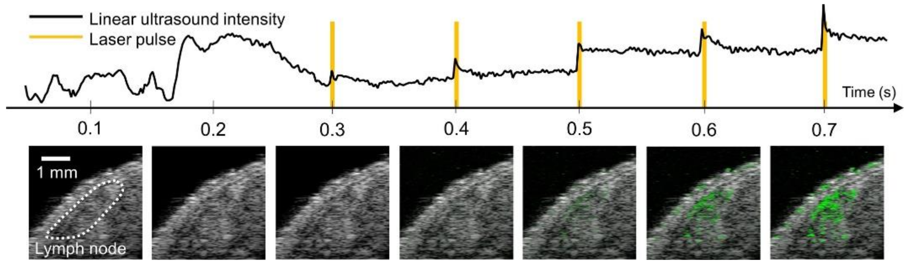 Photonics 08 00405 g004 Photonics 08 00405 g004