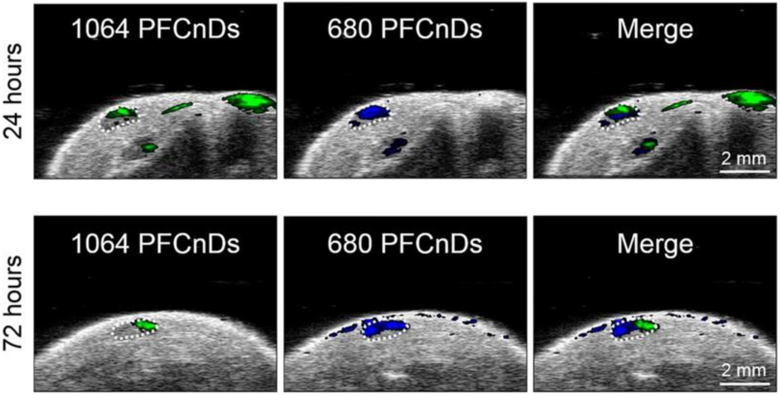 Photonics 08 00405 g008 Photonics 08 00405 g008