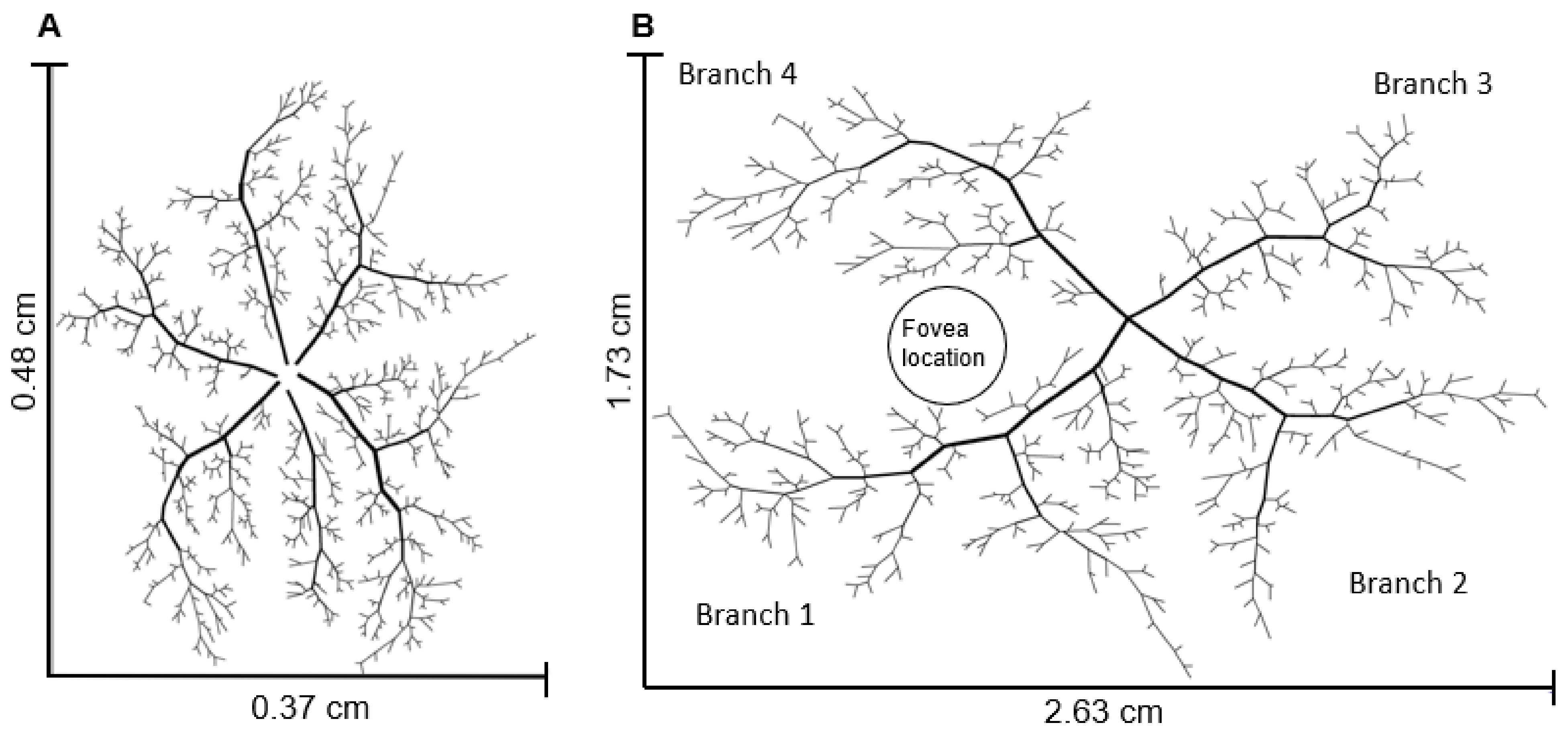 Photonics 08 00409 g001 Photonics 08 00409 g001