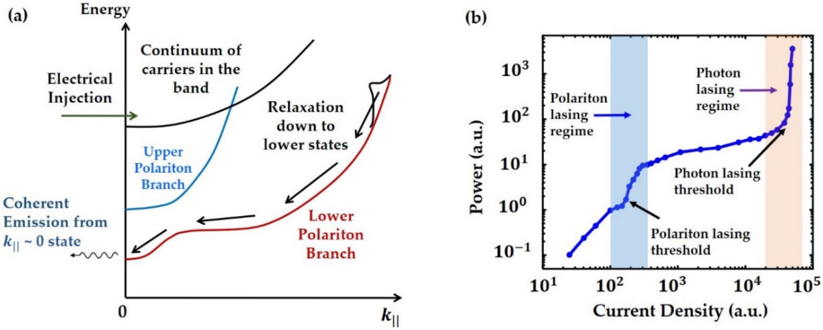 Photonics 08 00430 g011 Photonics 08 00430 g011