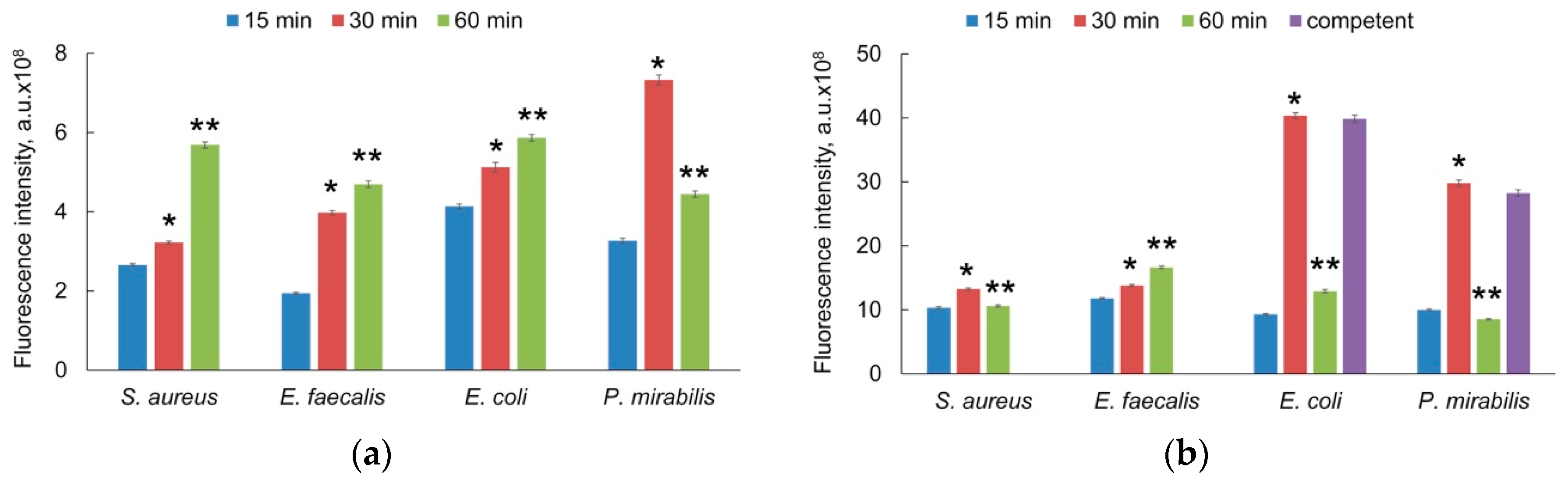 Photonics 08 00495 g005