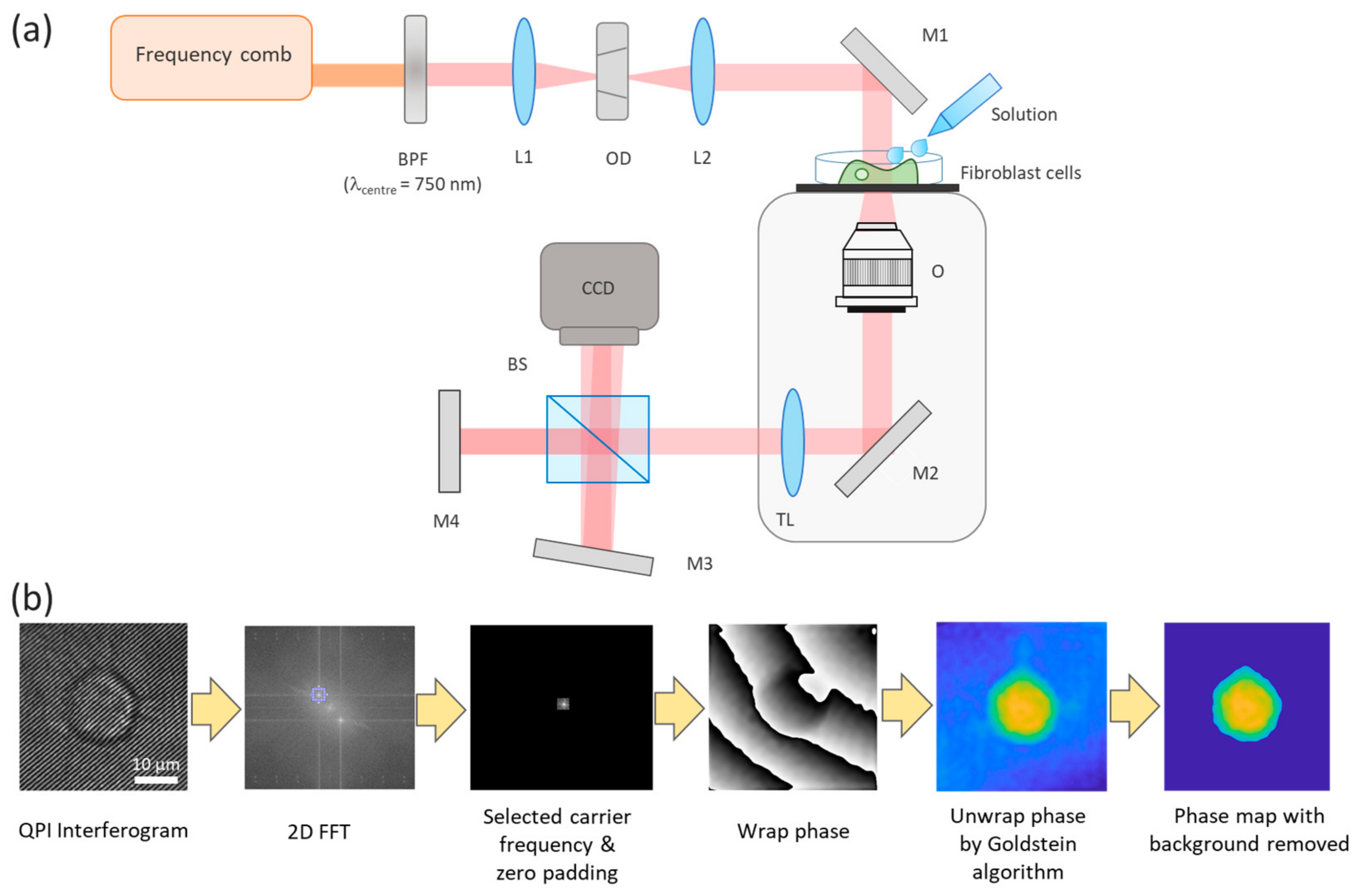 Photonics 08 00508 g002