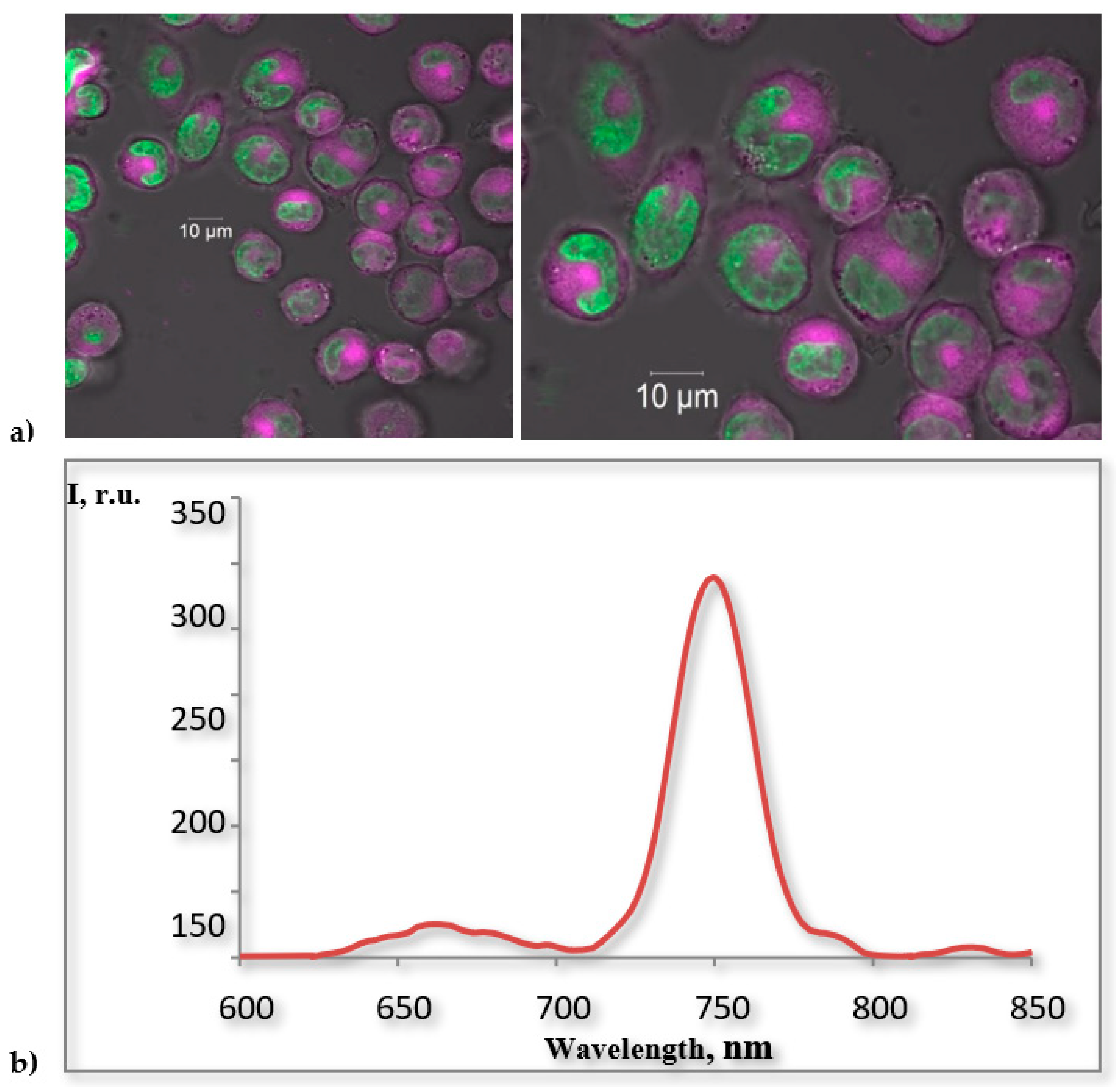 Photonics 08 00556 g007 Photonics 08 00556 g007