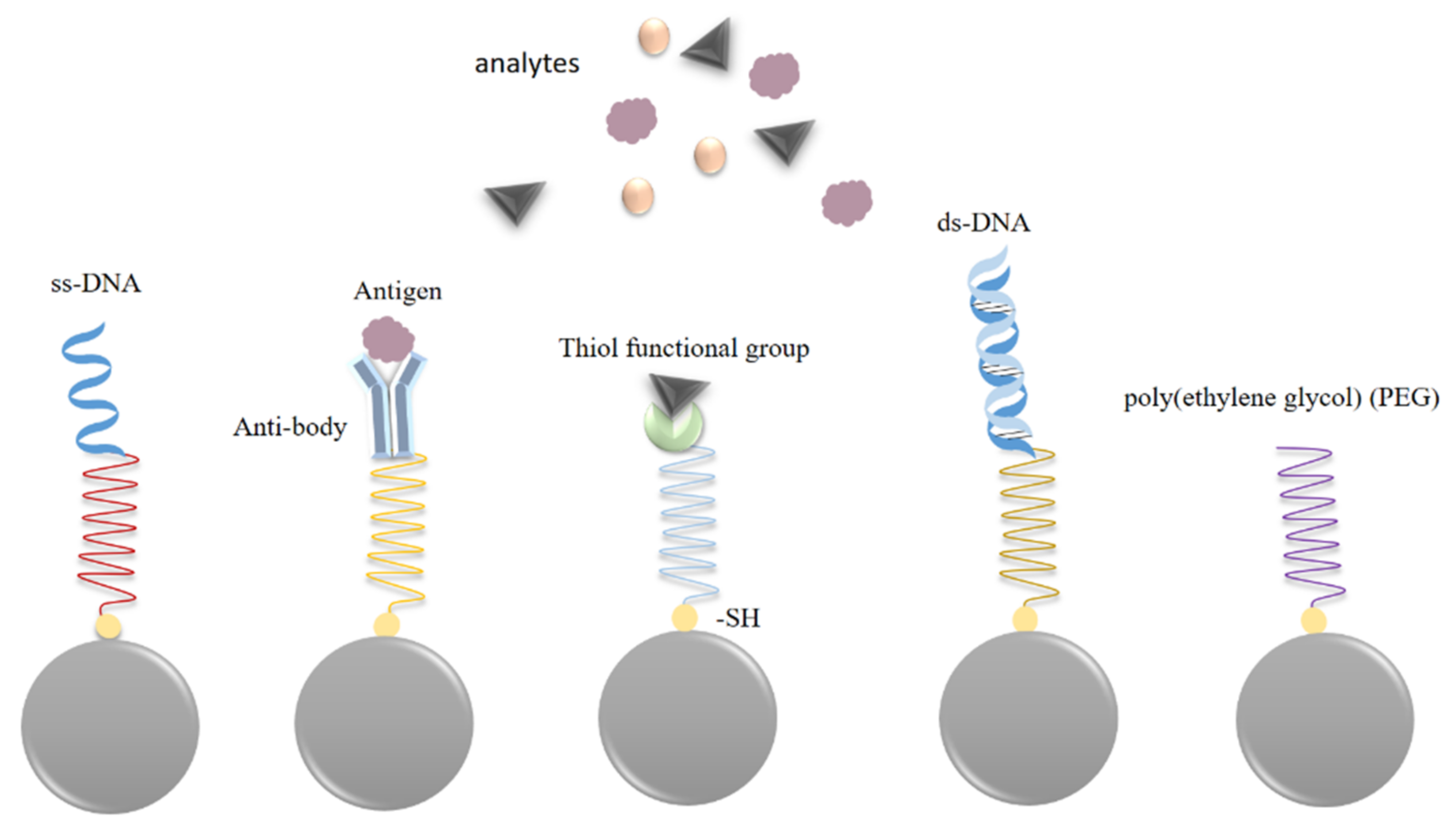 Photonics 08 00568 g005 Photonics 08 00568 g005