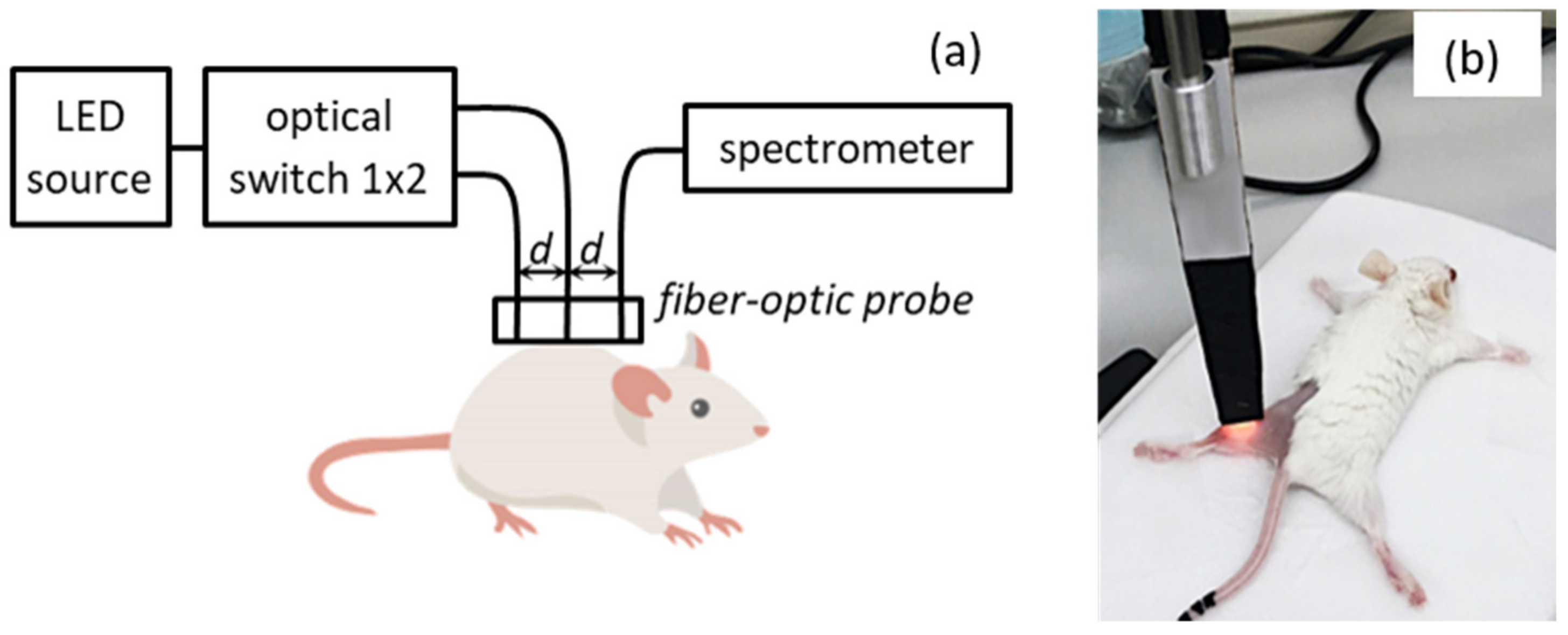 Photonics 09 00019 g002