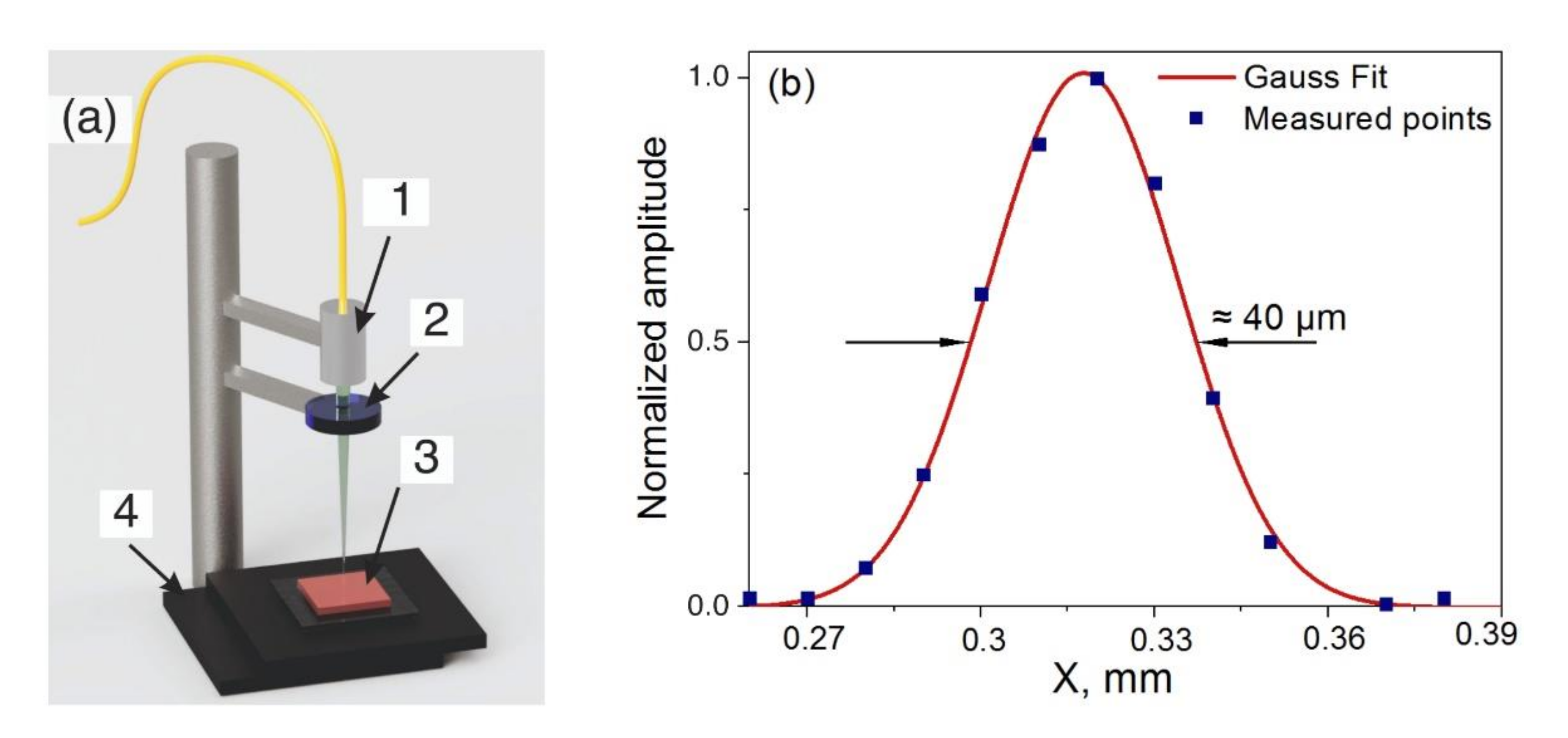 Photonics 09 00020 g002