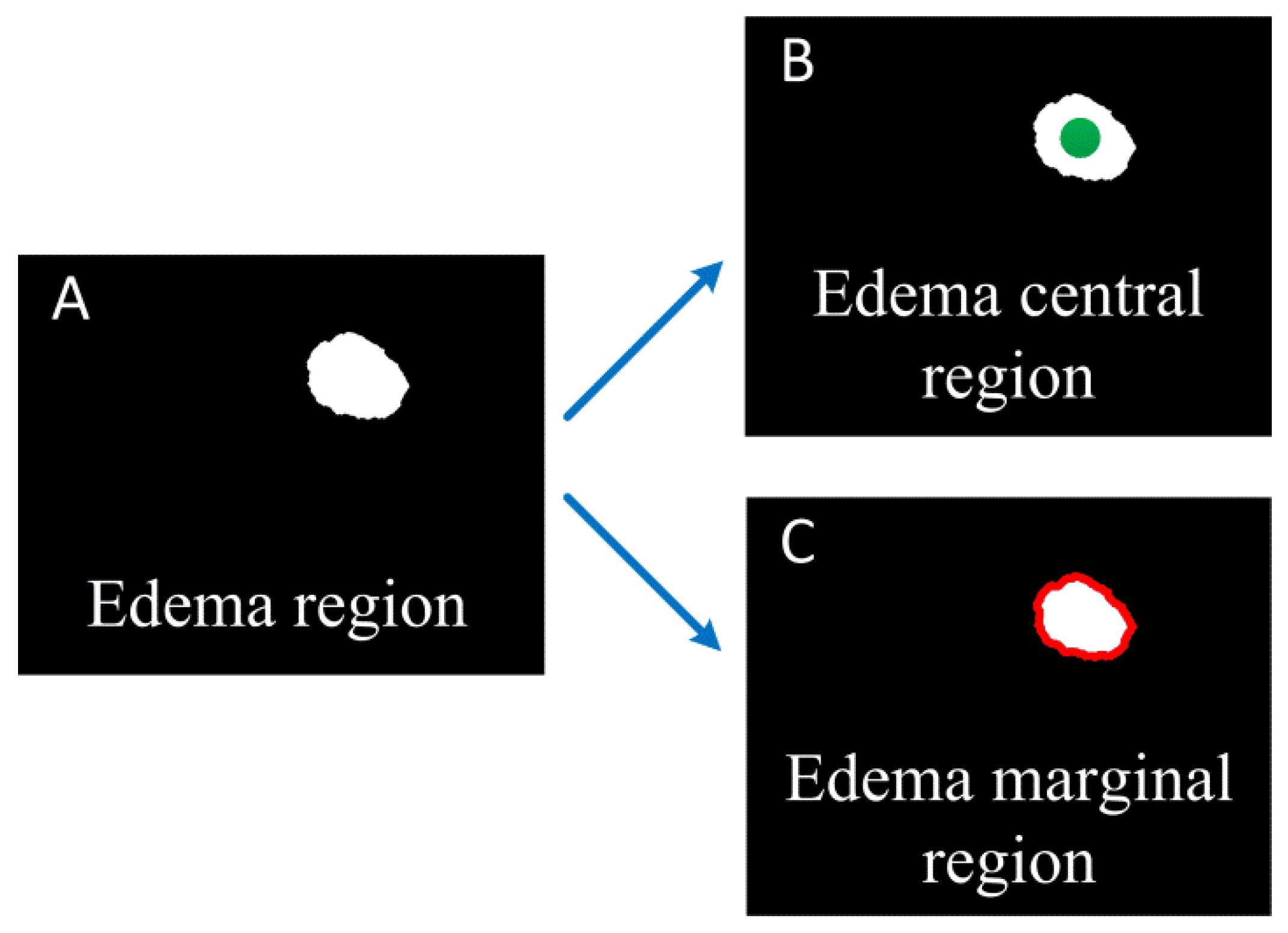 Photonics 09 00081 g002