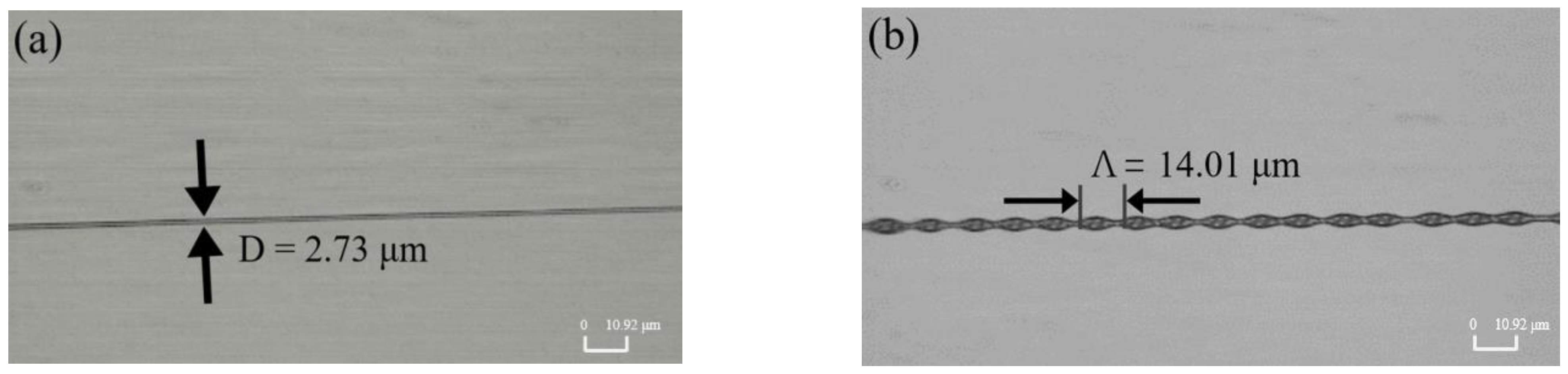 Photonics 09 00096 g003a