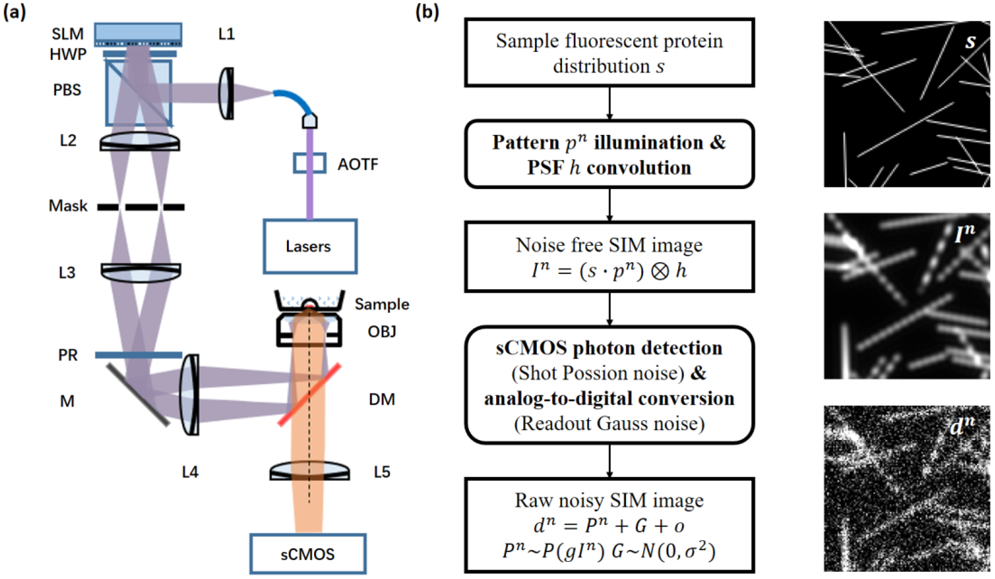 Photonics | Free Full-Text | sCMOS Noise-Corrected Superresolution  Reconstruction Algorithm for Structured Illumination Microscopy