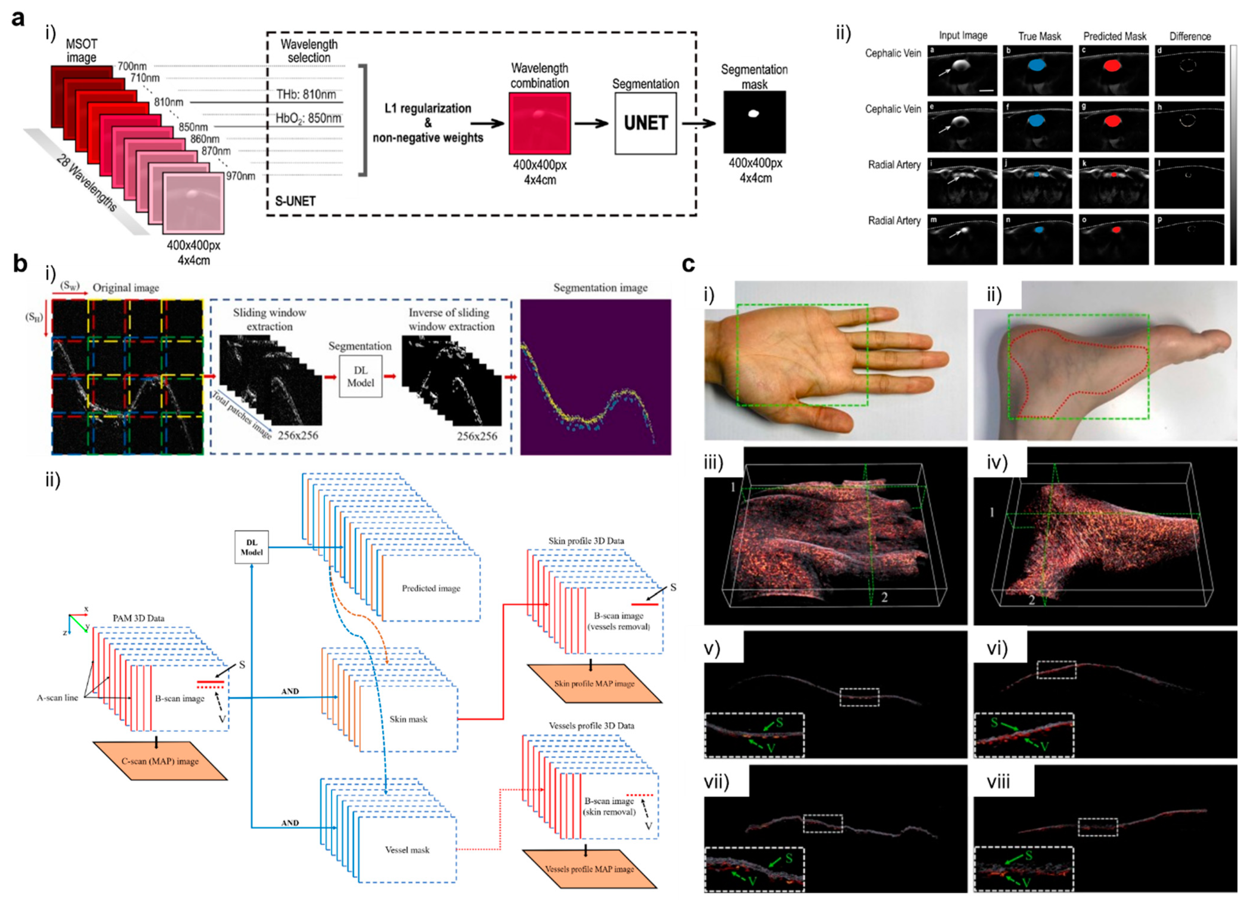 Photonics 09 00176 g004