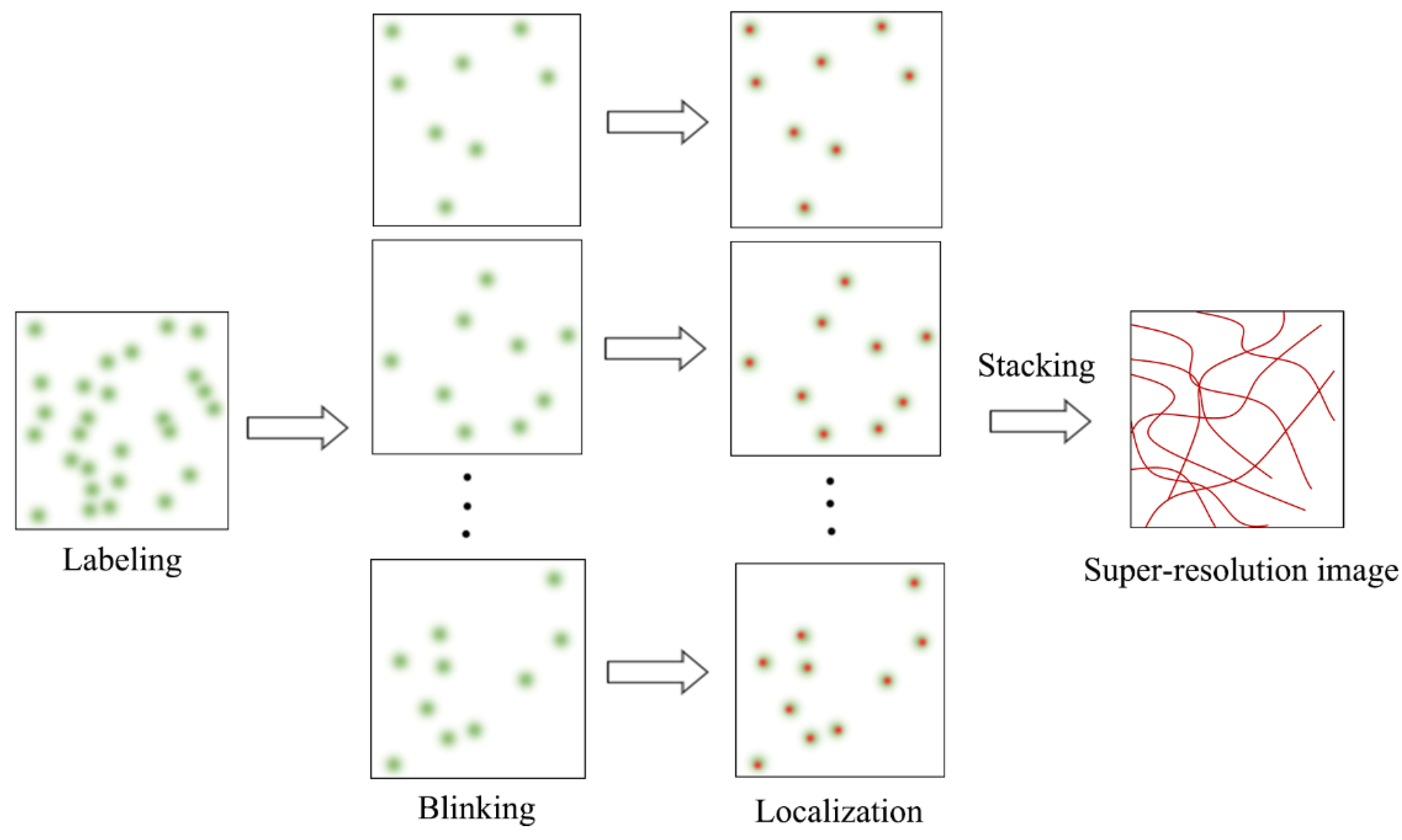 Photonics 09 00261 g001