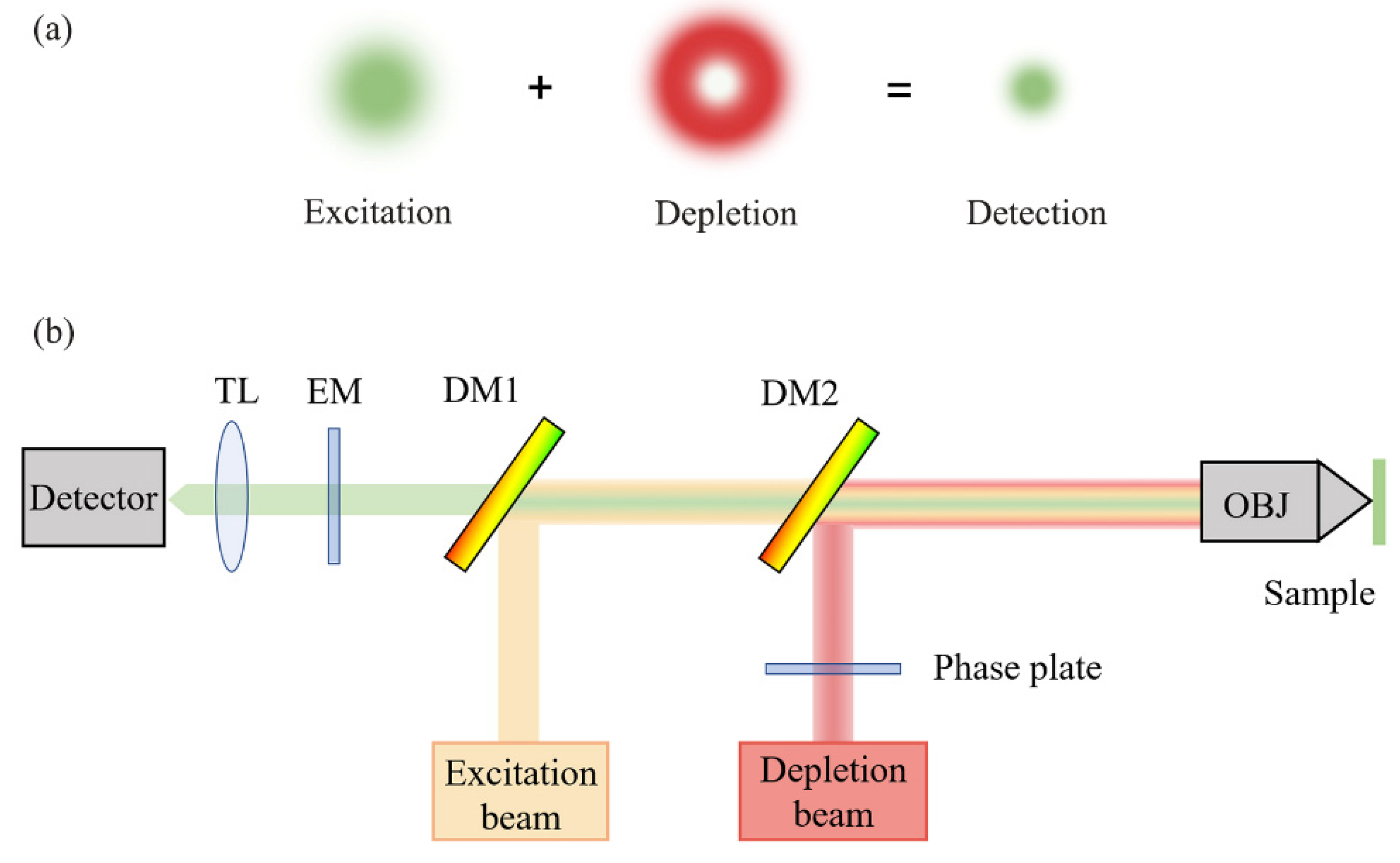 Photonics 09 00261 g003