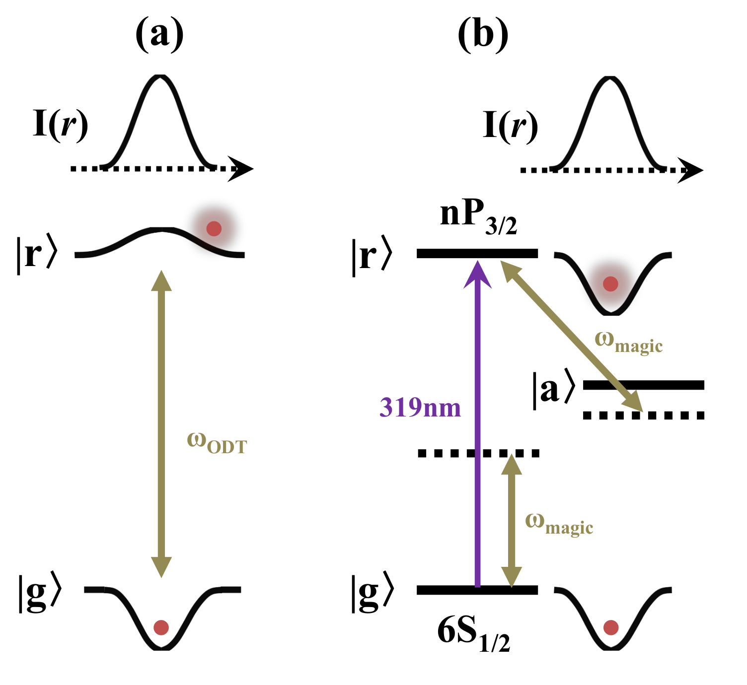 Photonics 09 00303 g002