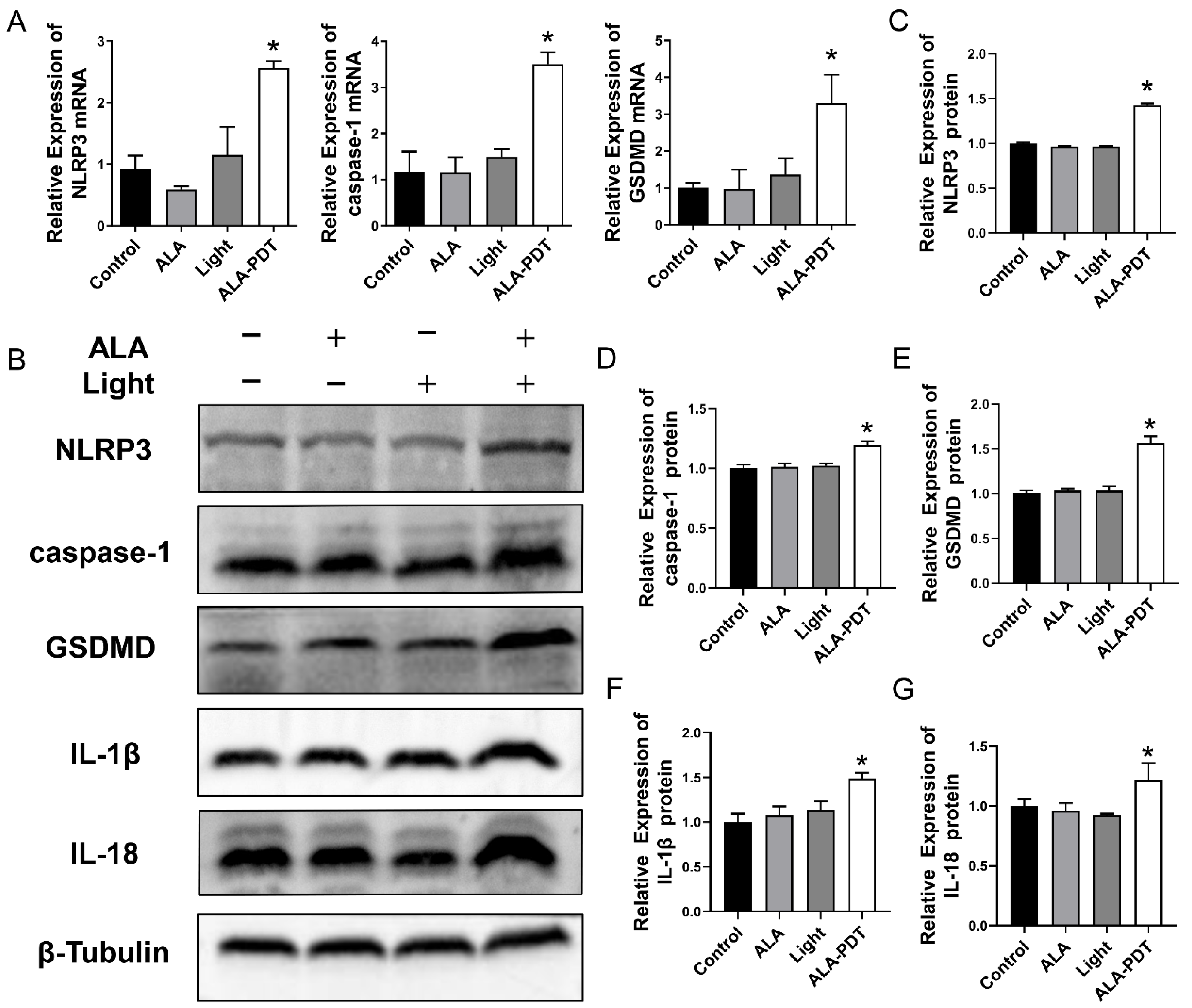 Photonics 09 00408 g002