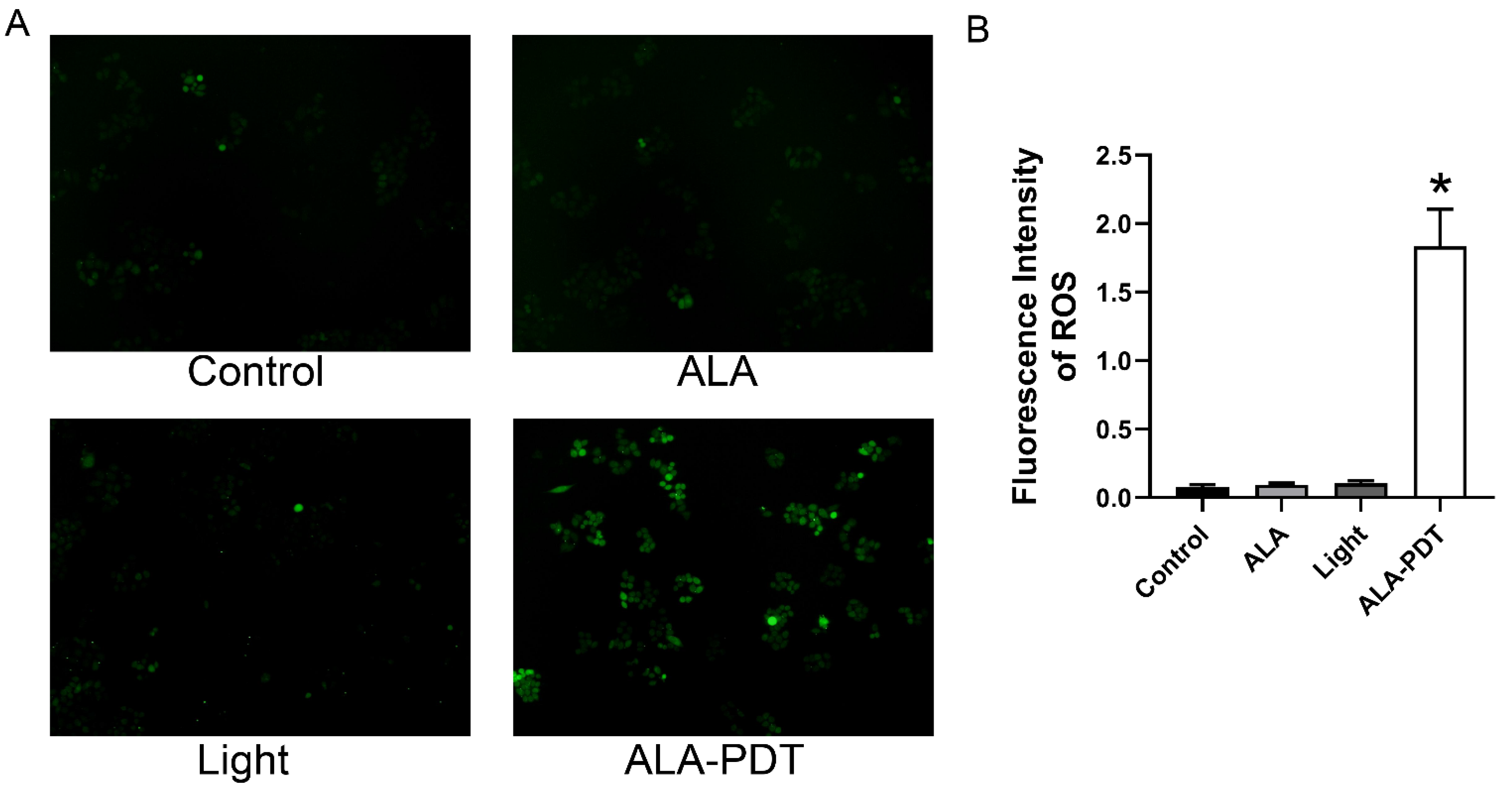 Photonics 09 00408 g003