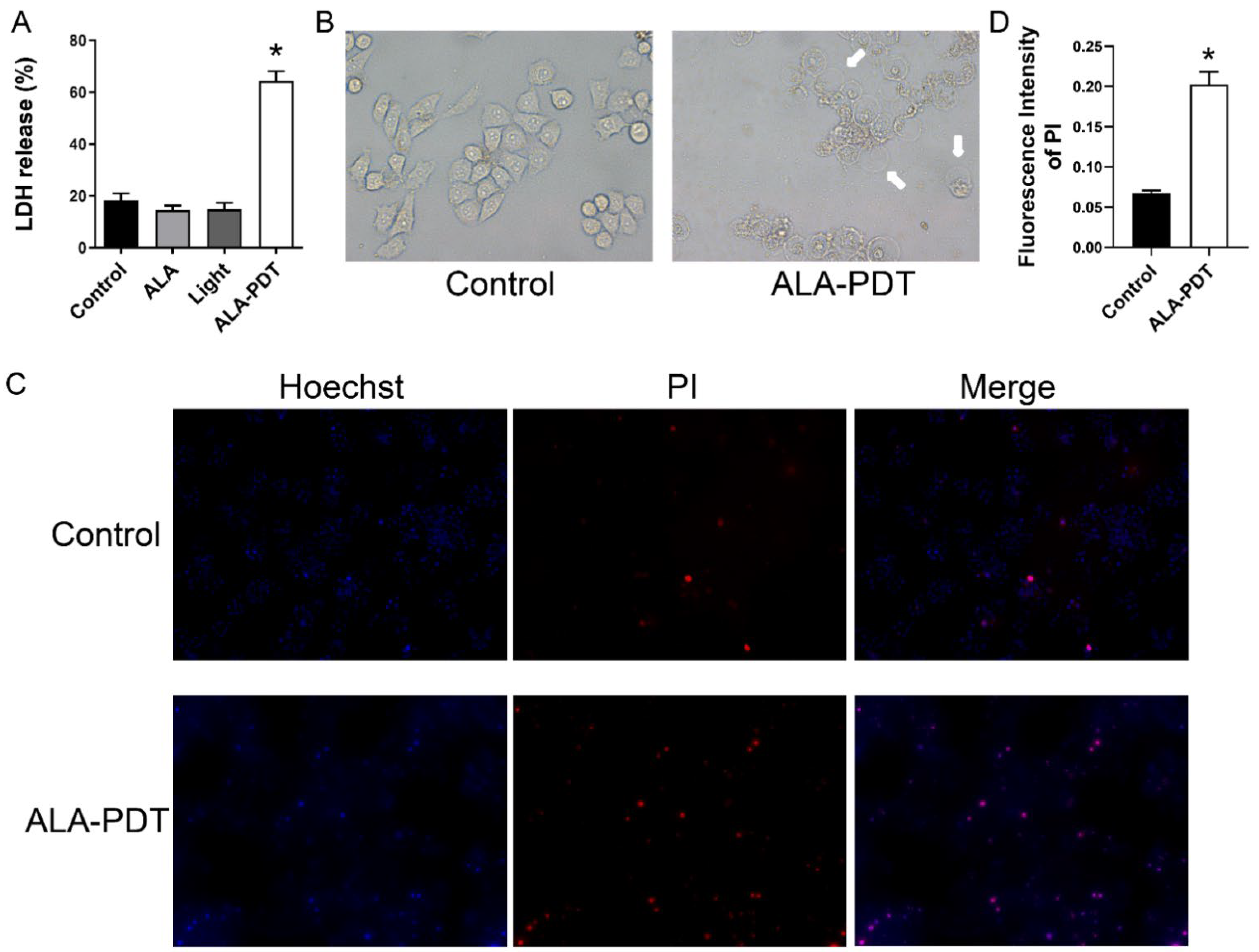 Photonics 09 00408 g004